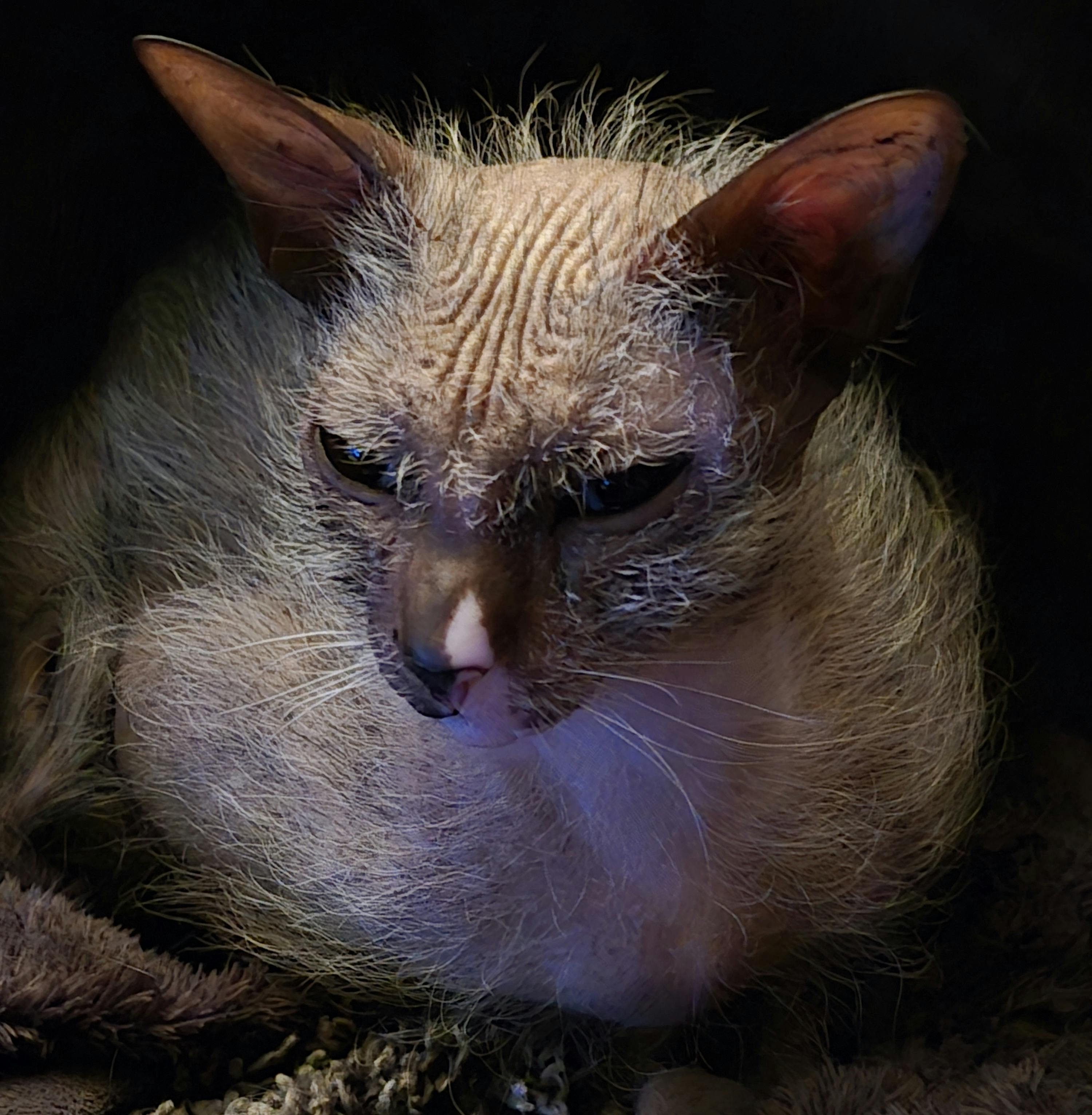 user avatar image for Sherrie Stanley