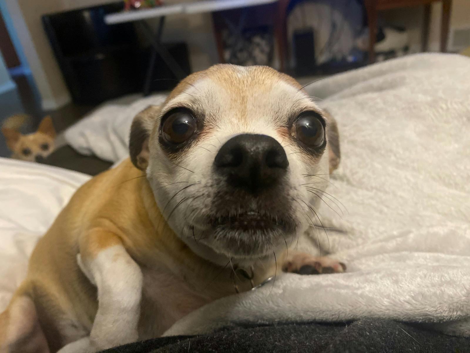 user avatar image for Teresa