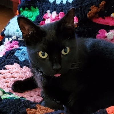 user avatar image for heckofabecca