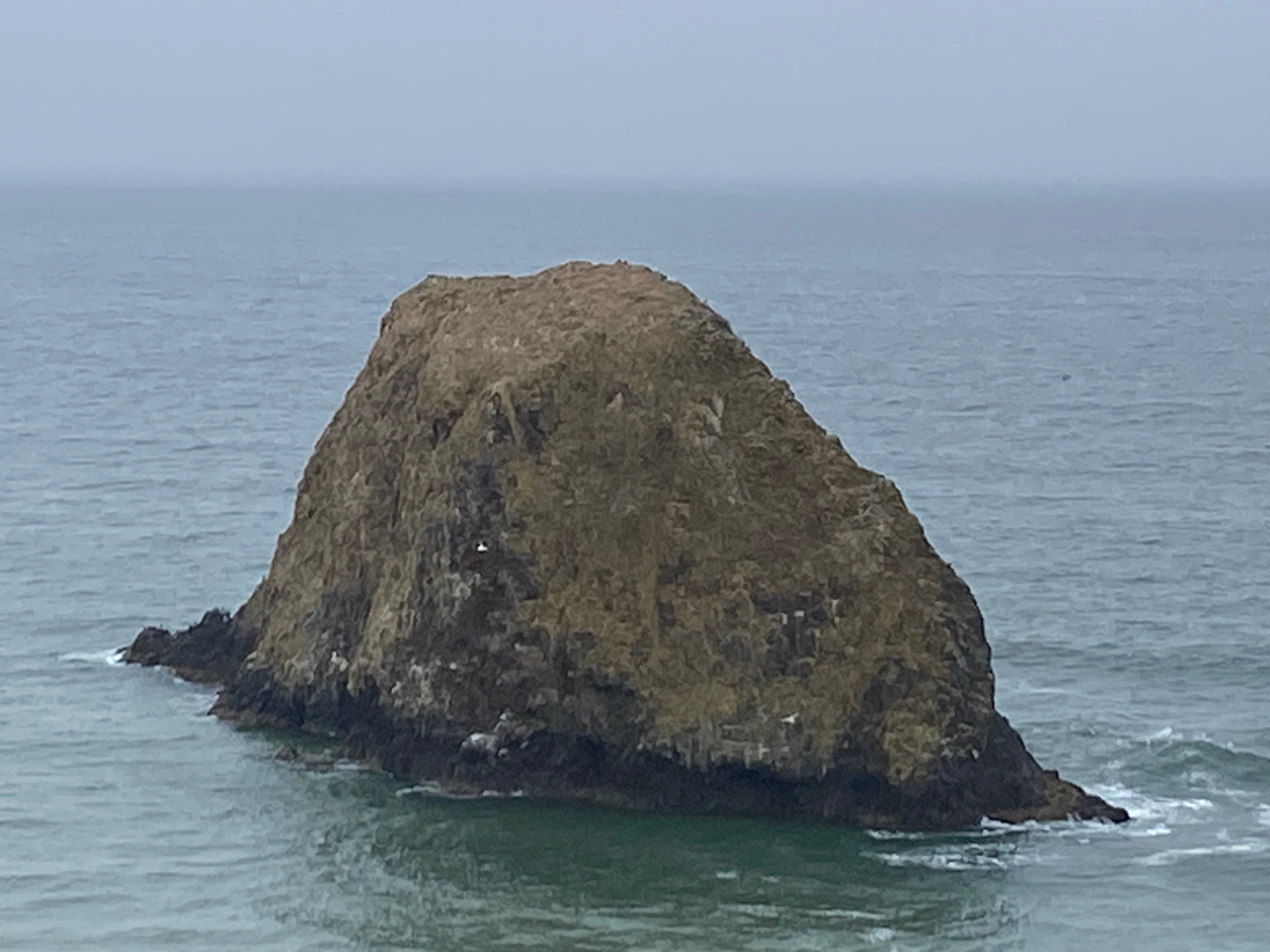 user avatar image for Frank Powell