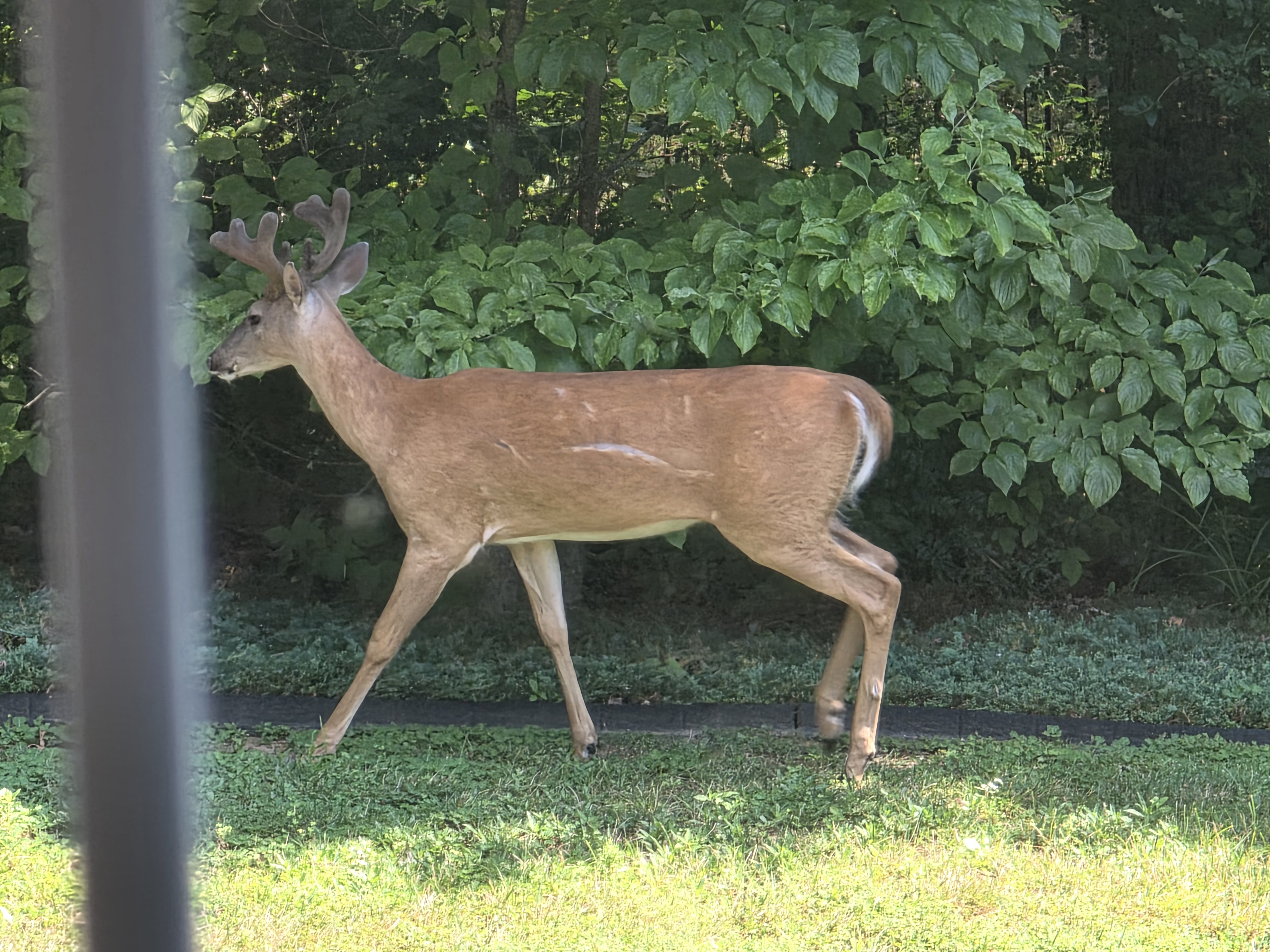 user avatar image for Coleman