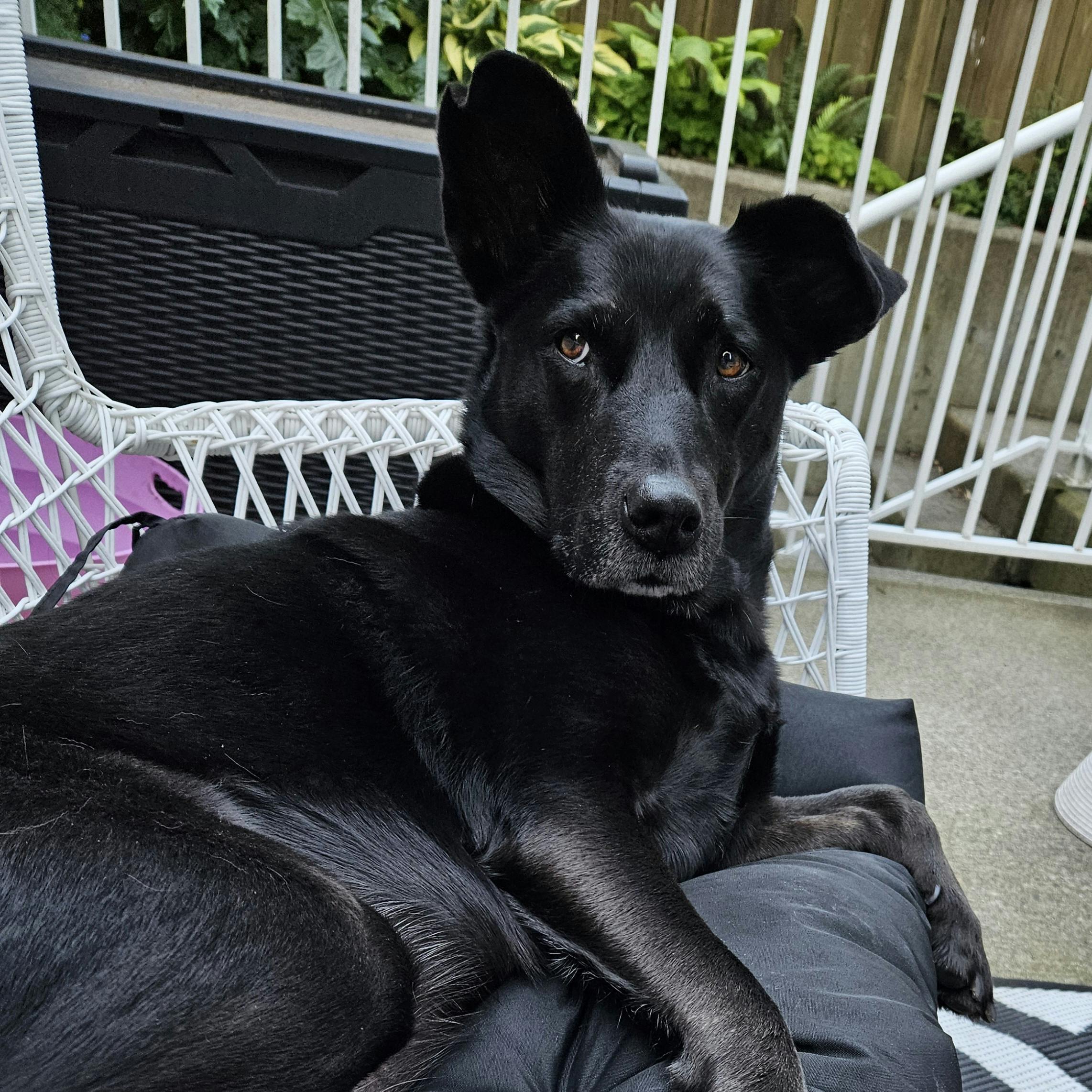 user avatar image for Yvonne E