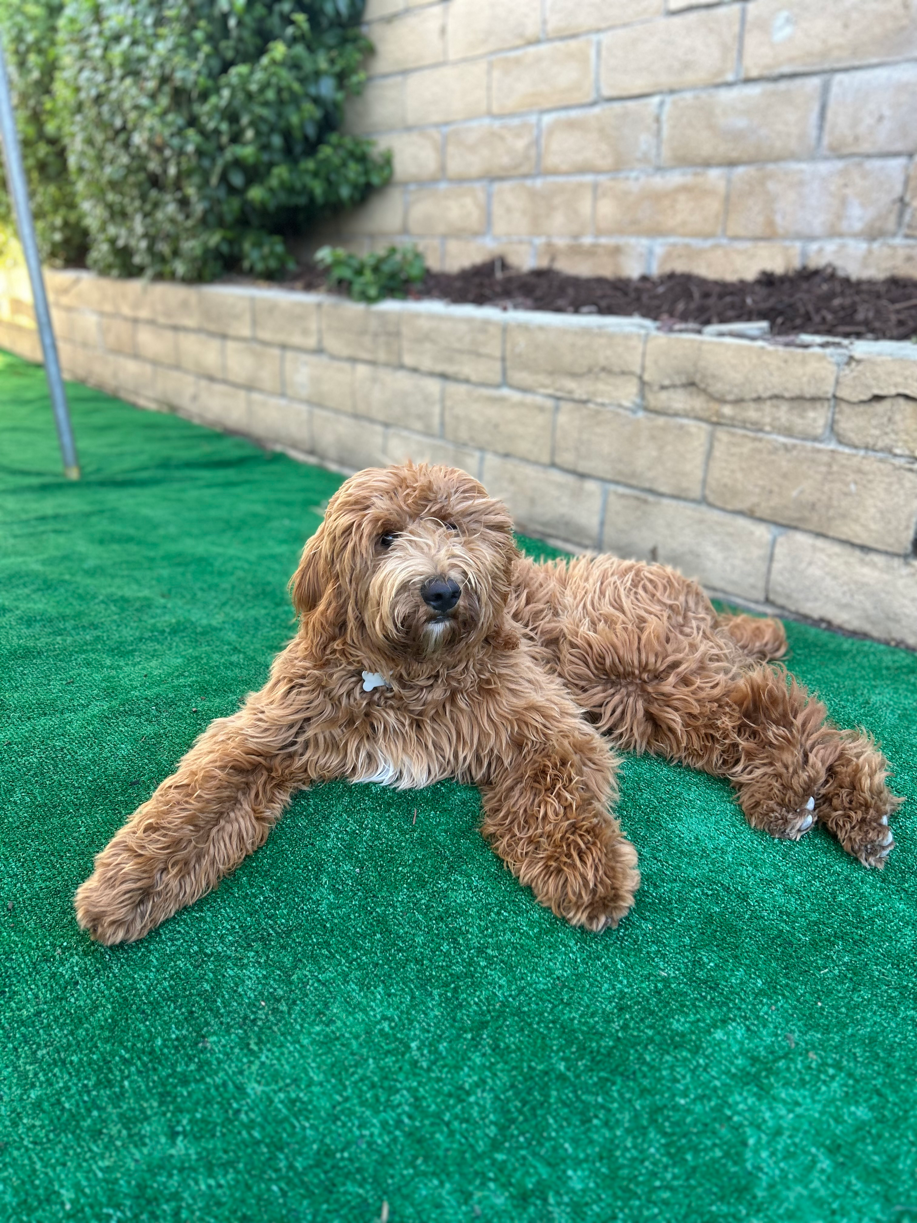 user avatar image for Austin Travis