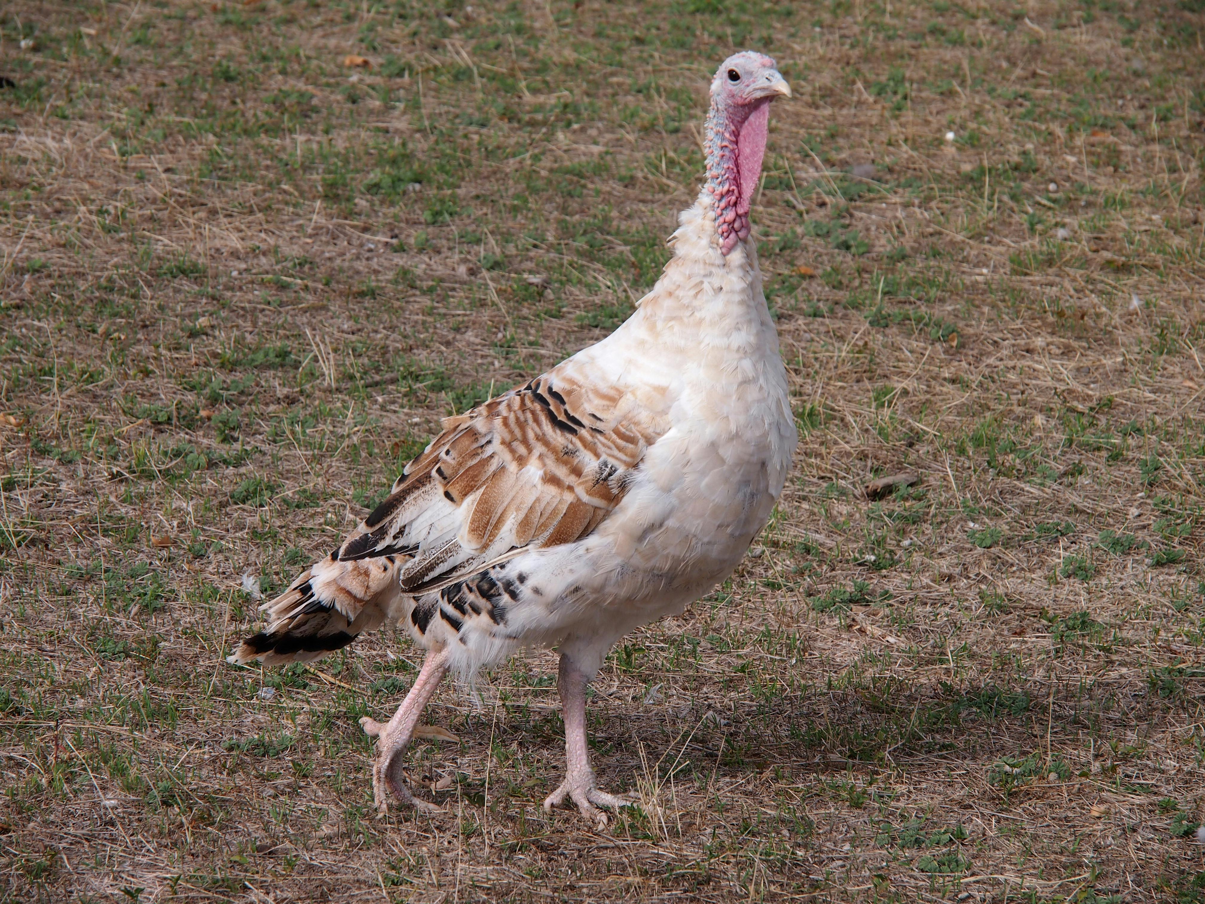 user avatar image for Merry