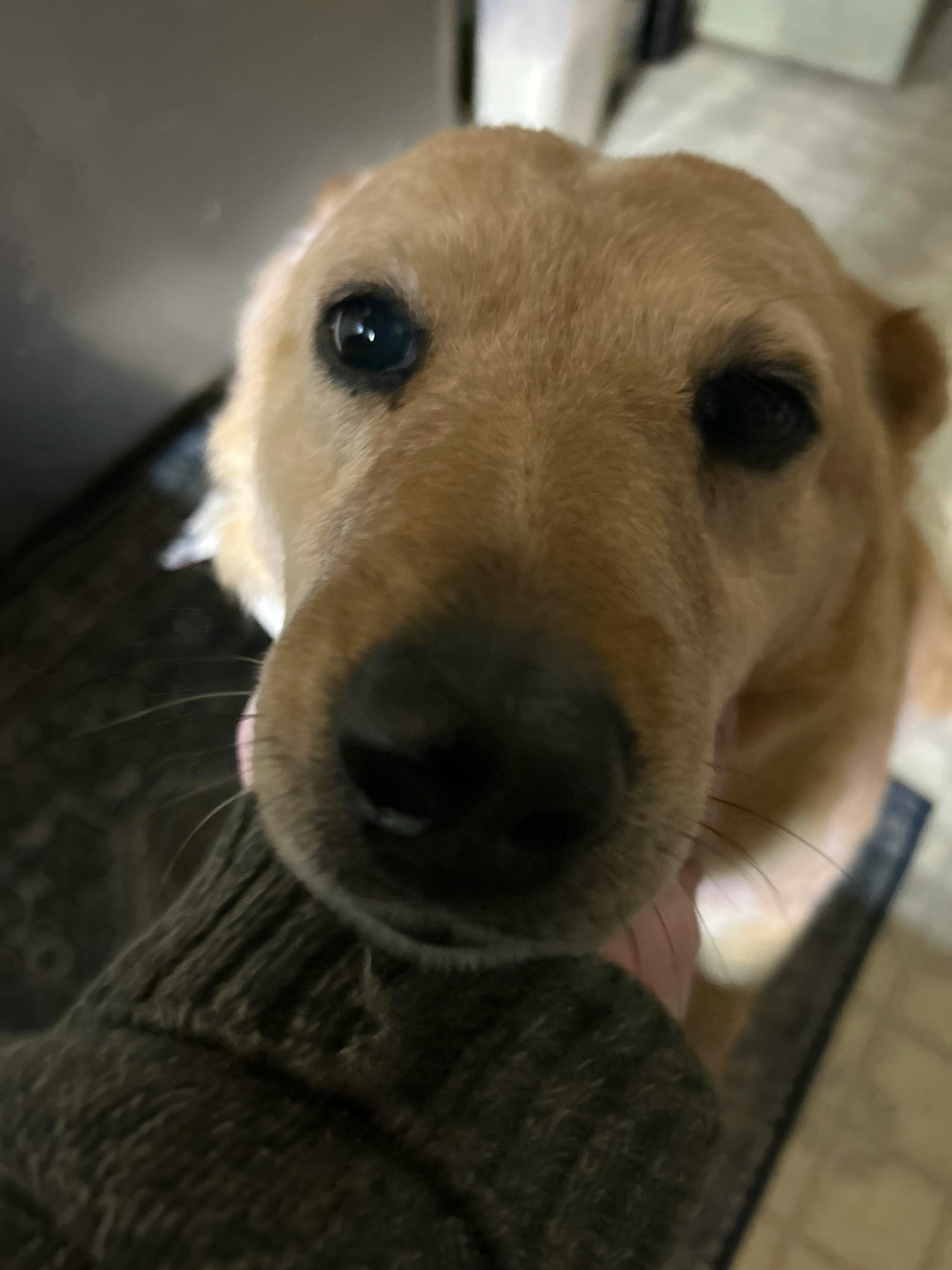 user avatar image for Higgipedia