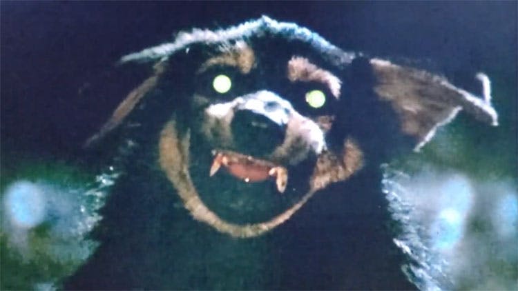 user avatar image for MCStewart