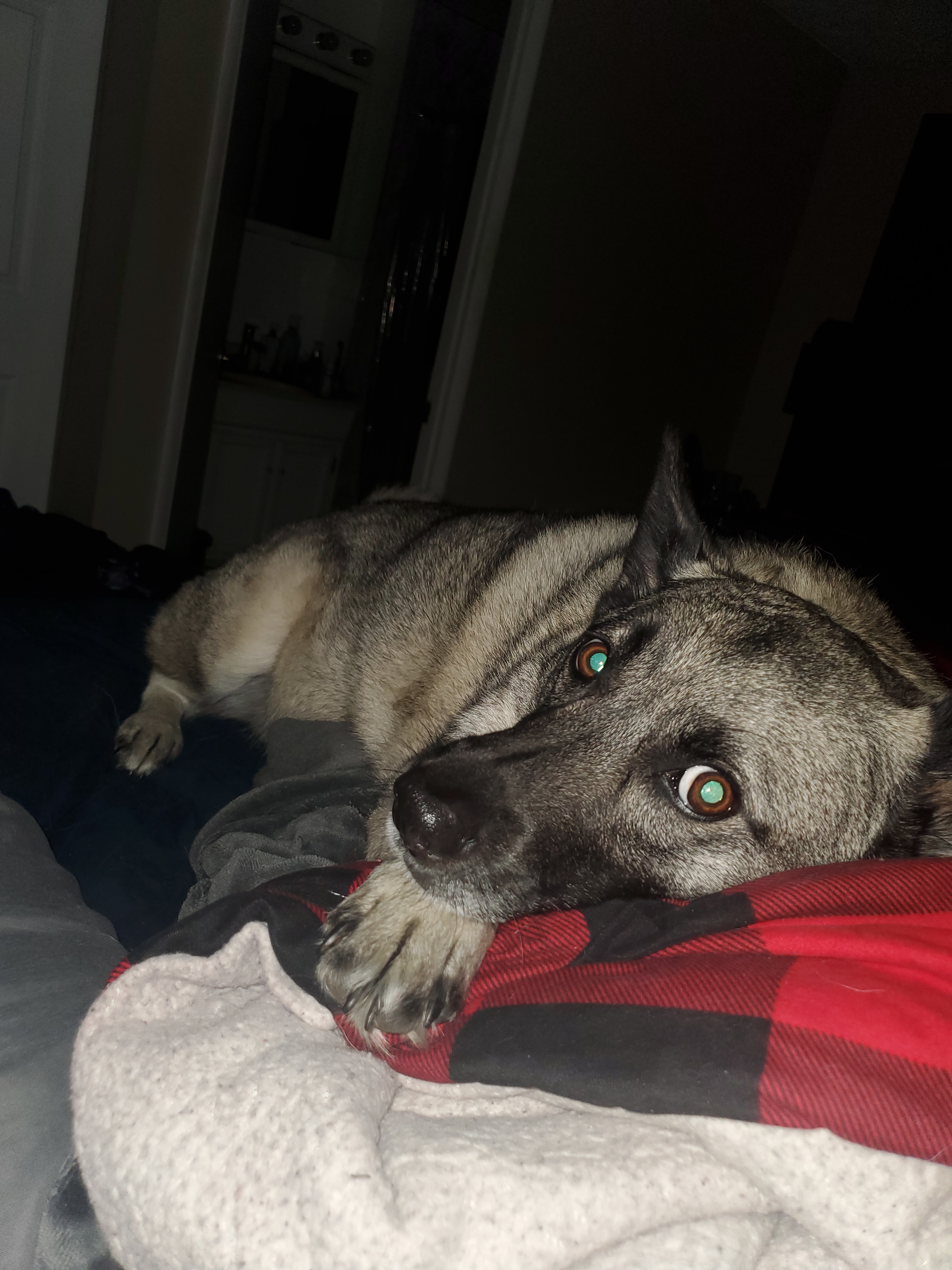 user avatar image for Kacee