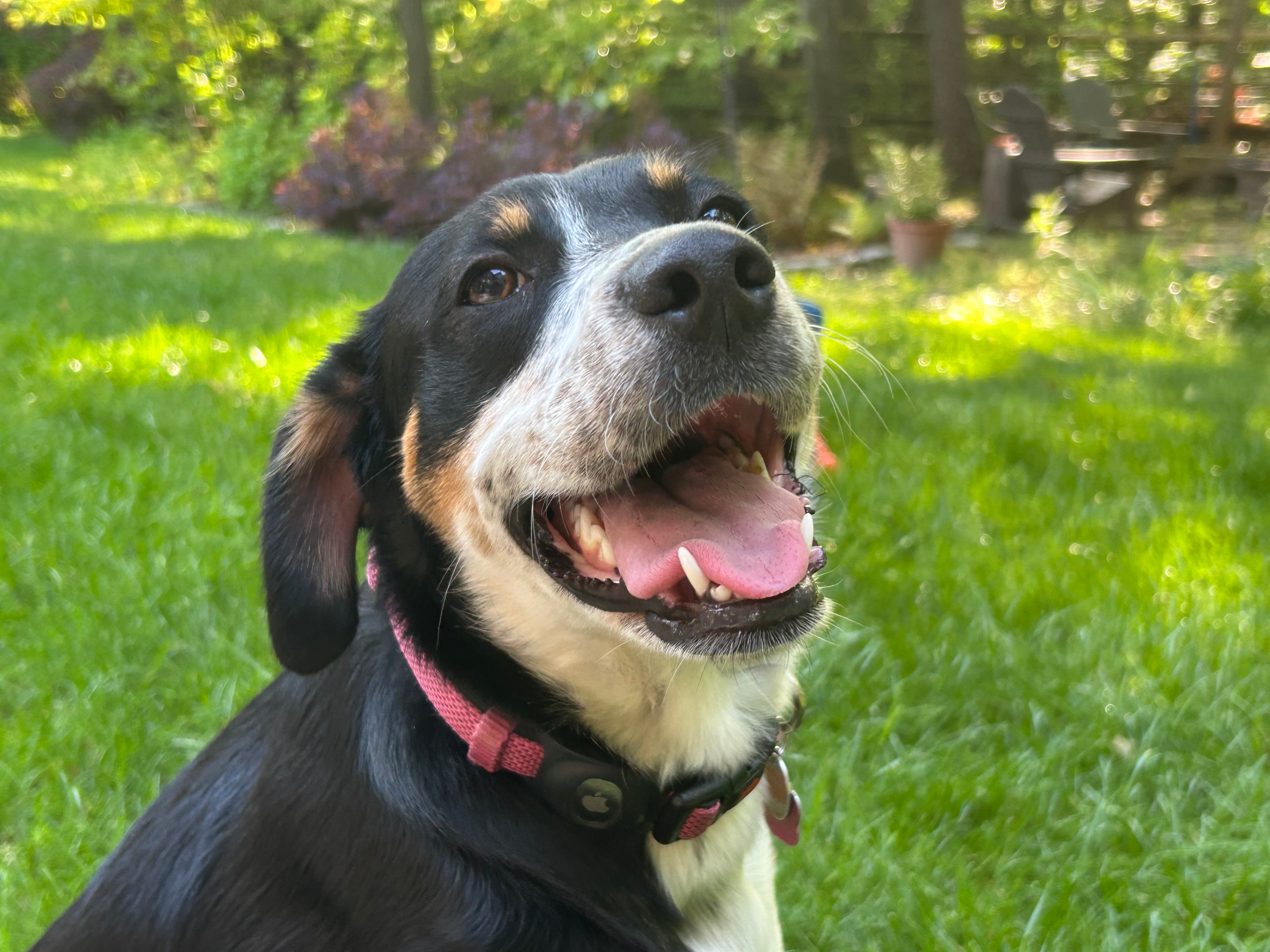 user avatar image for Mikehogl