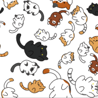 user avatar image for Catarina