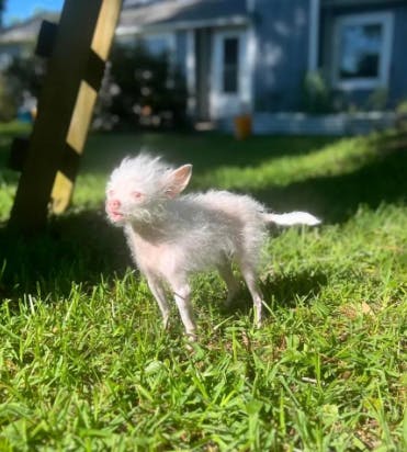 user avatar image for rpsigler