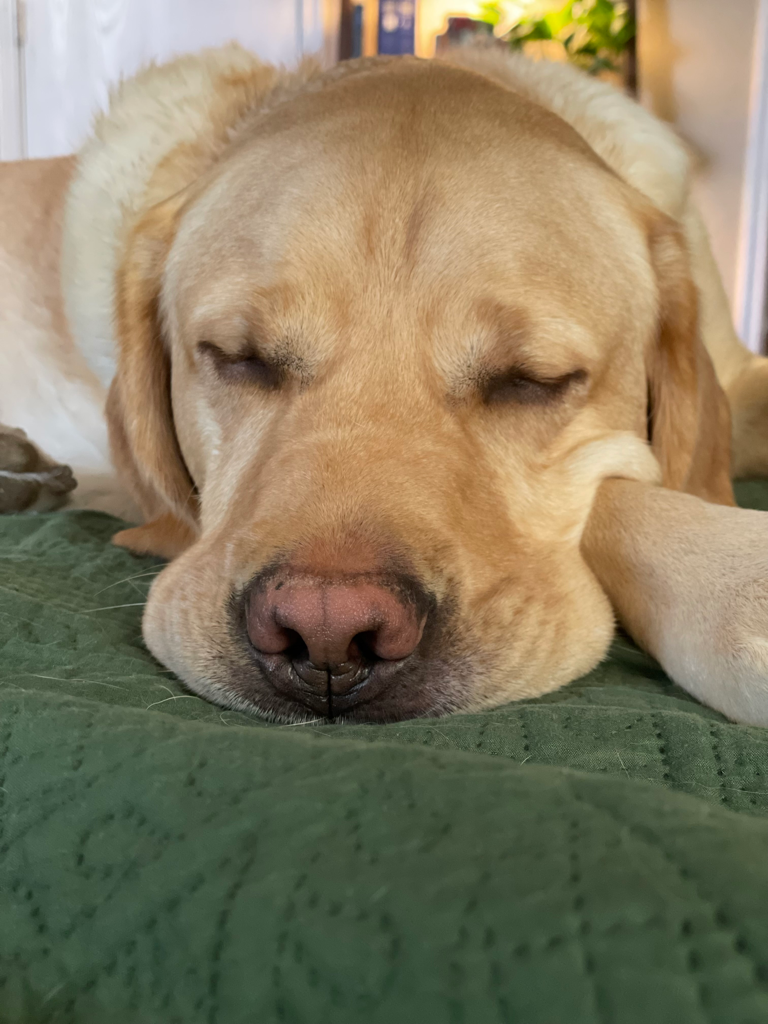 user avatar image for jkferrell 