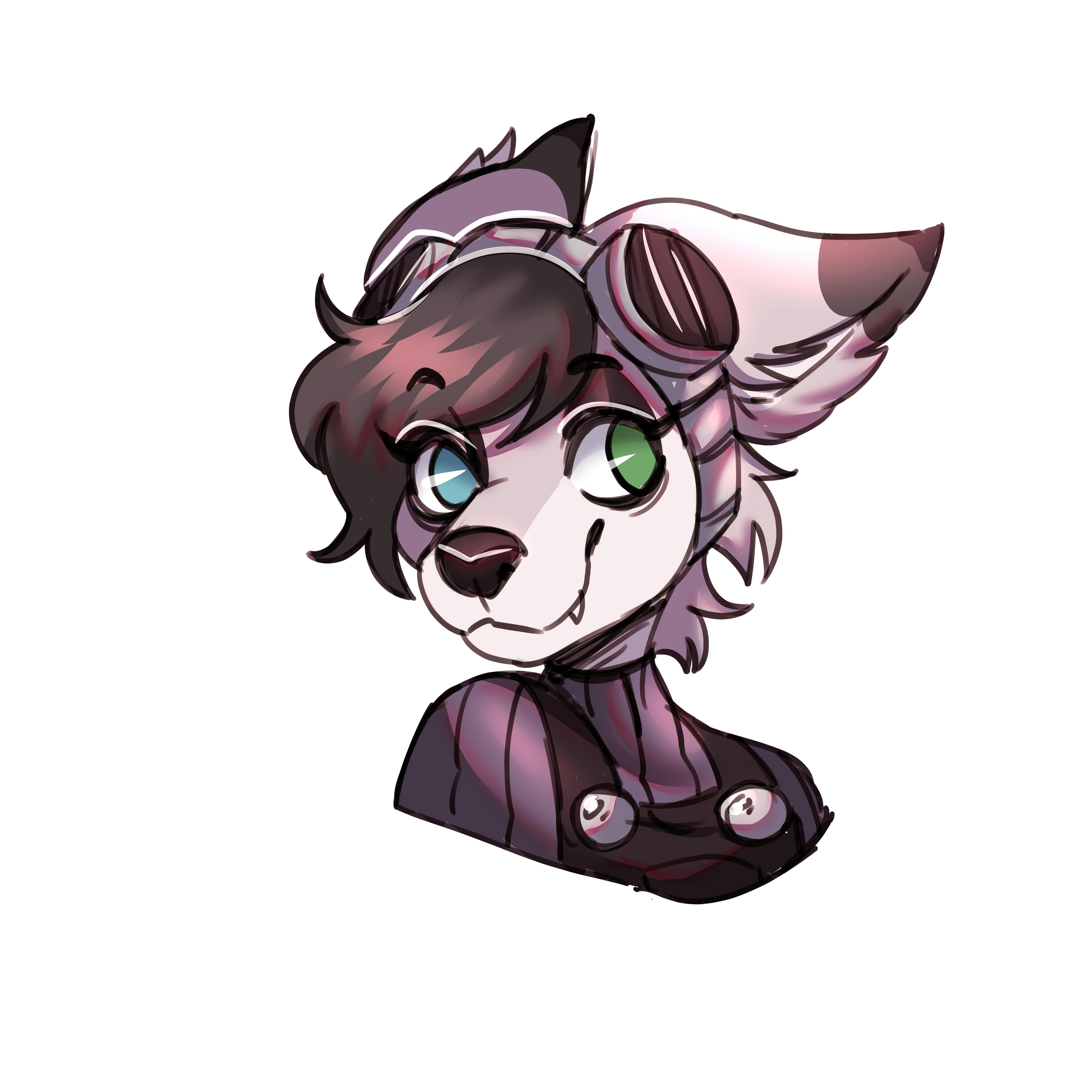 user avatar image for Stephen Porter