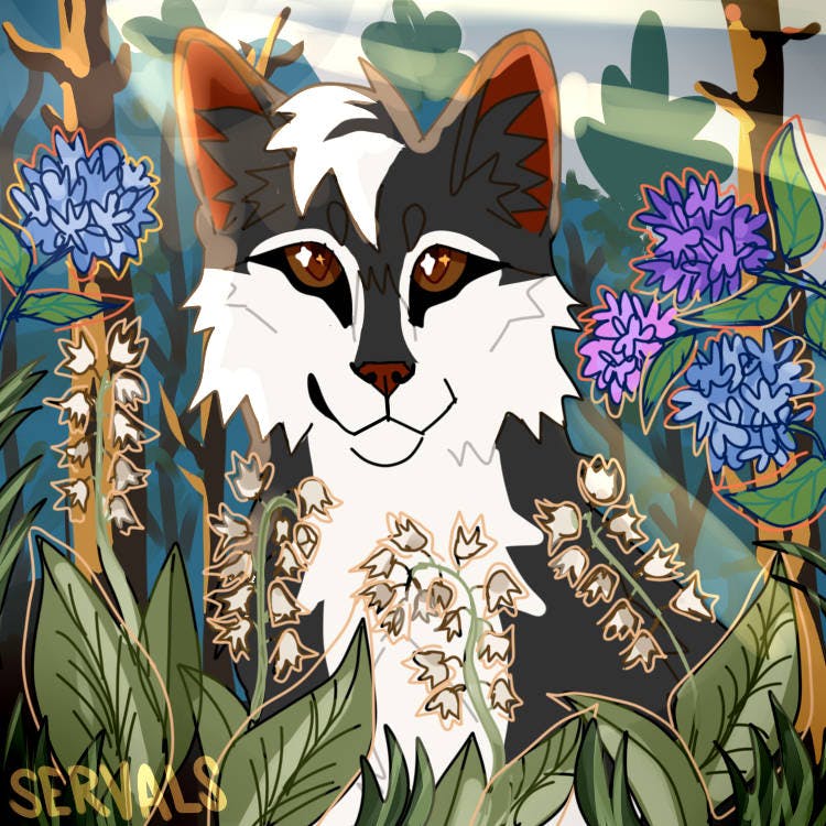 user avatar image for mewhaku