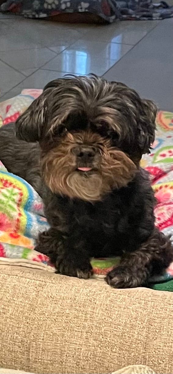 user avatar image for Daniel Toombs