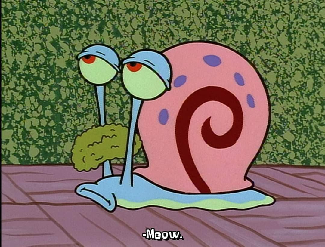 user avatar image for Ashton