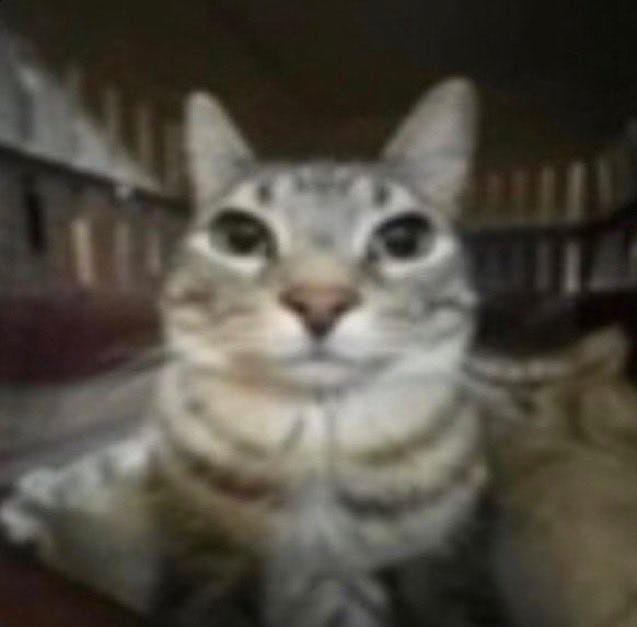 user avatar image for Ash