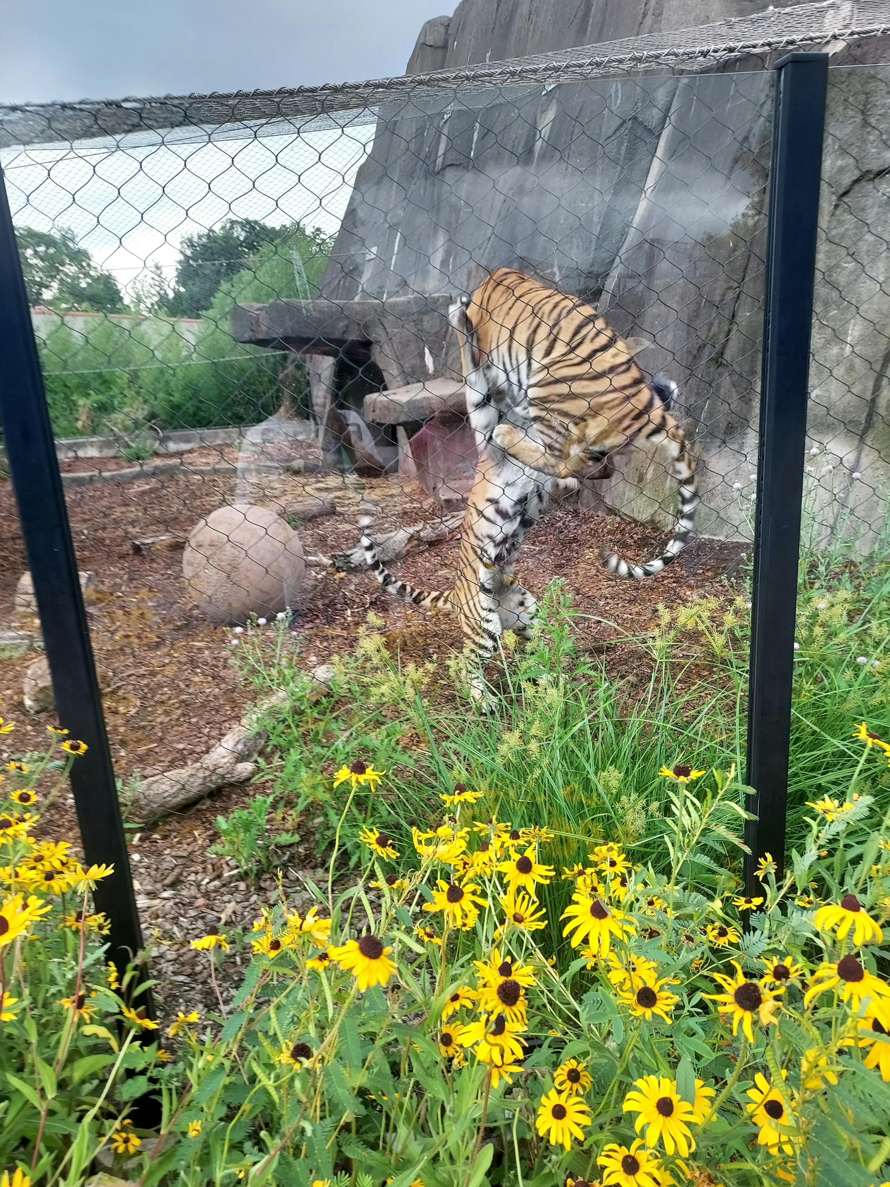 user avatar image for carnotauran