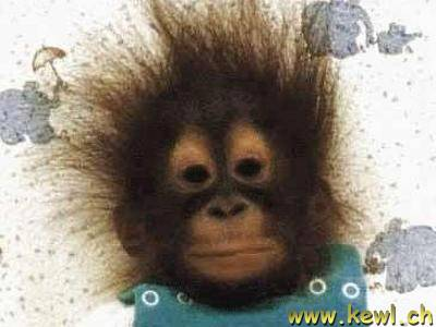 user avatar image for Doc-T