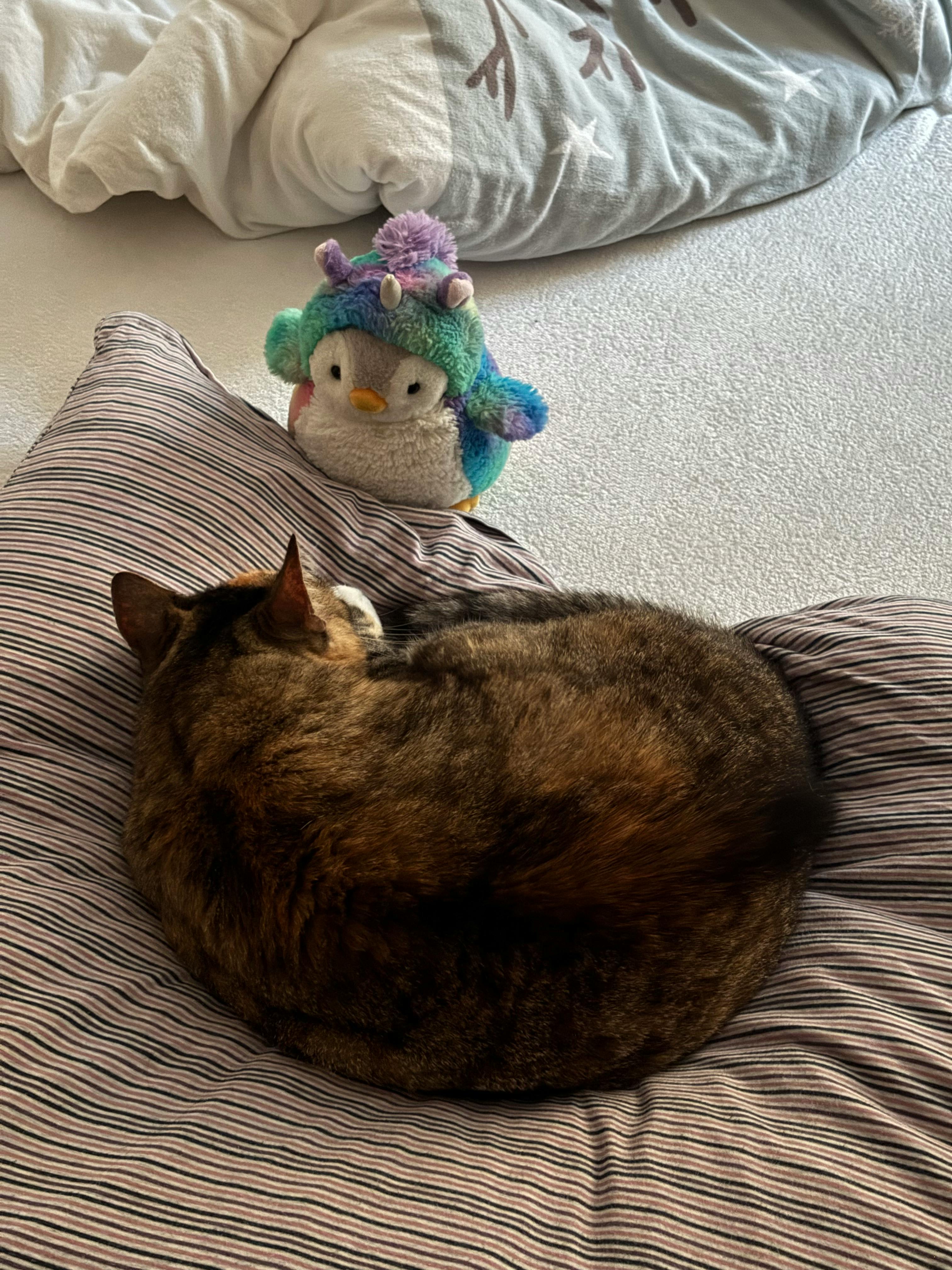 user avatar image for Christoph König