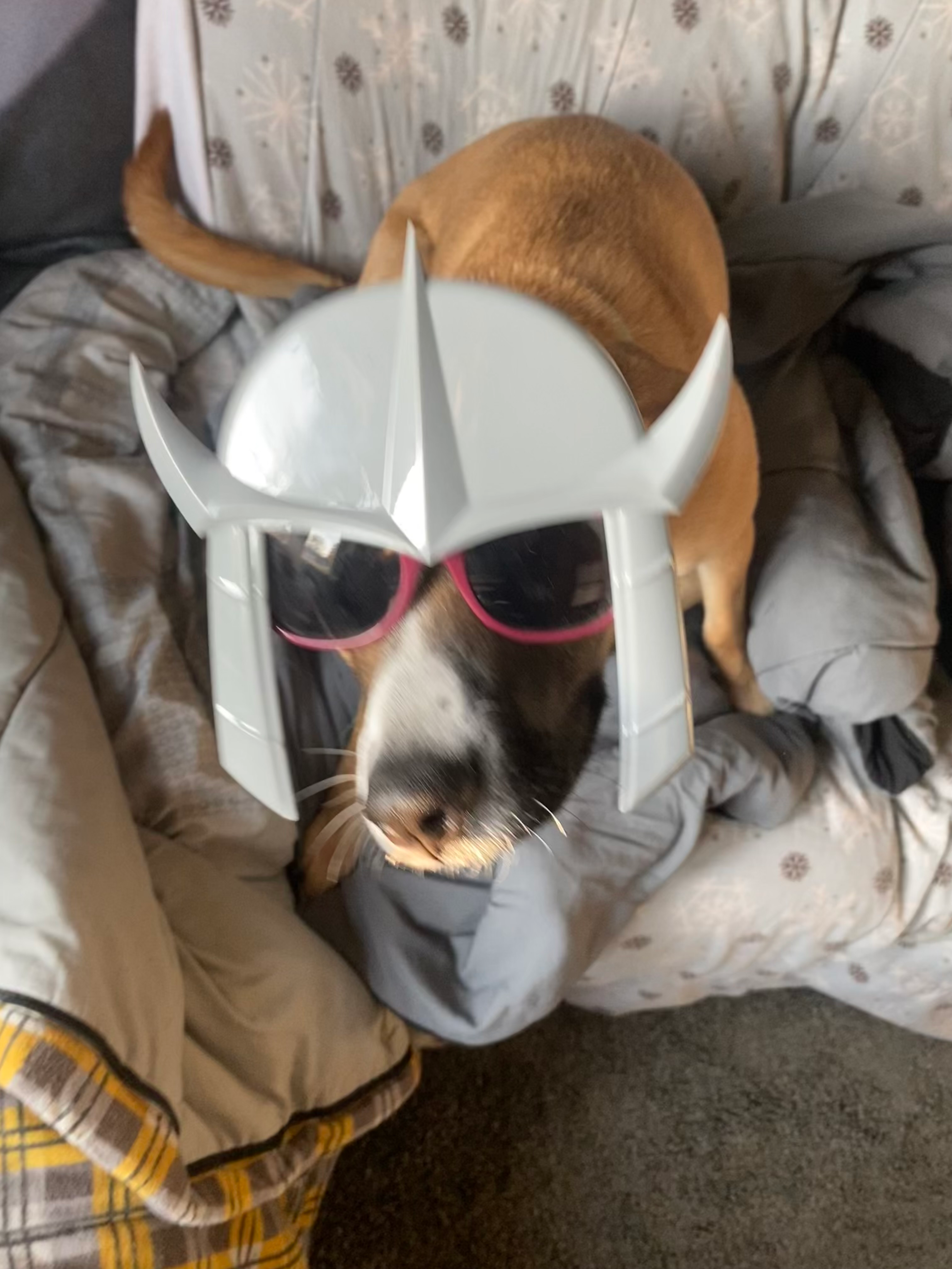 user avatar image for BaDg3r