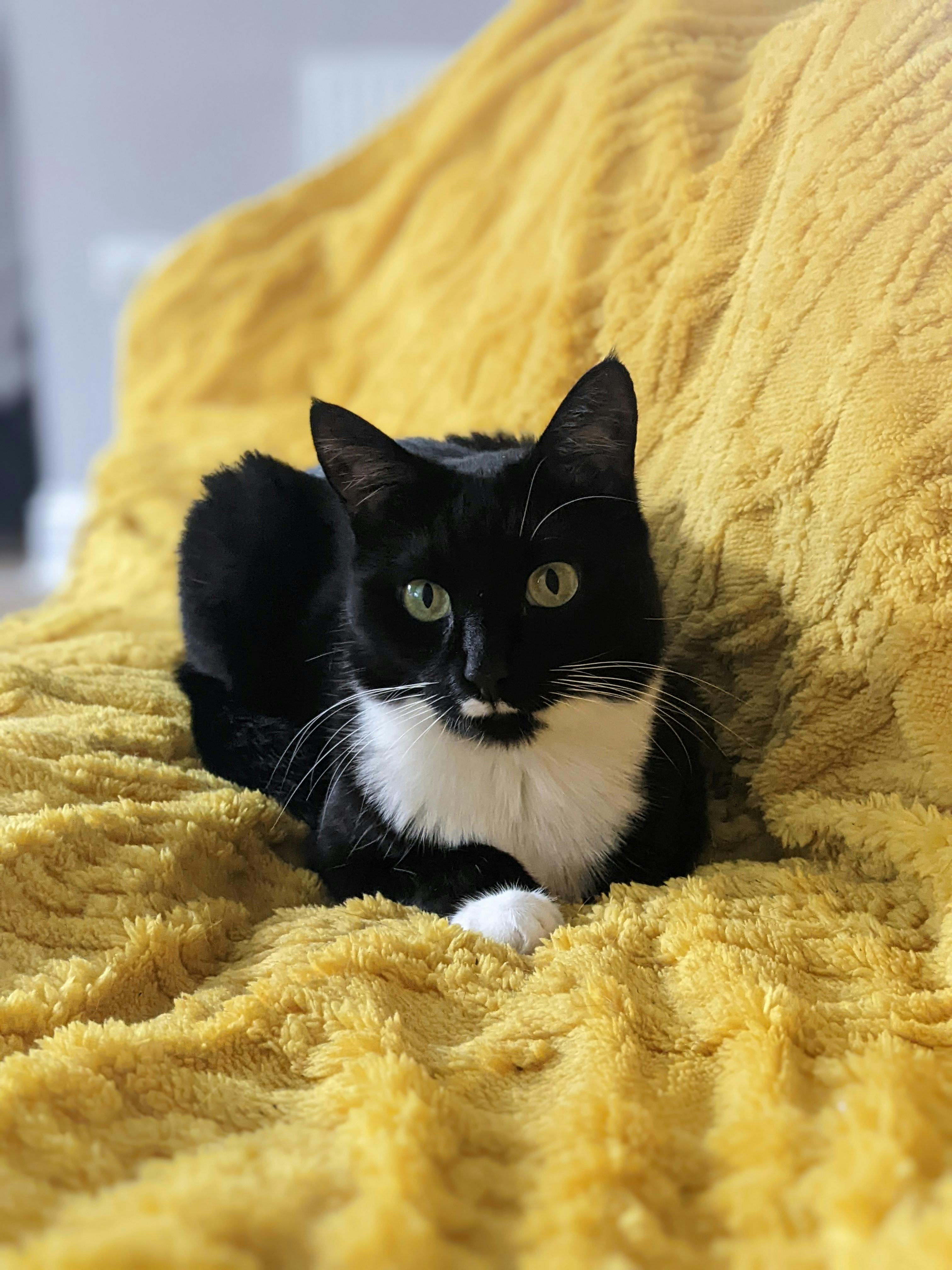 user avatar image for Emily James