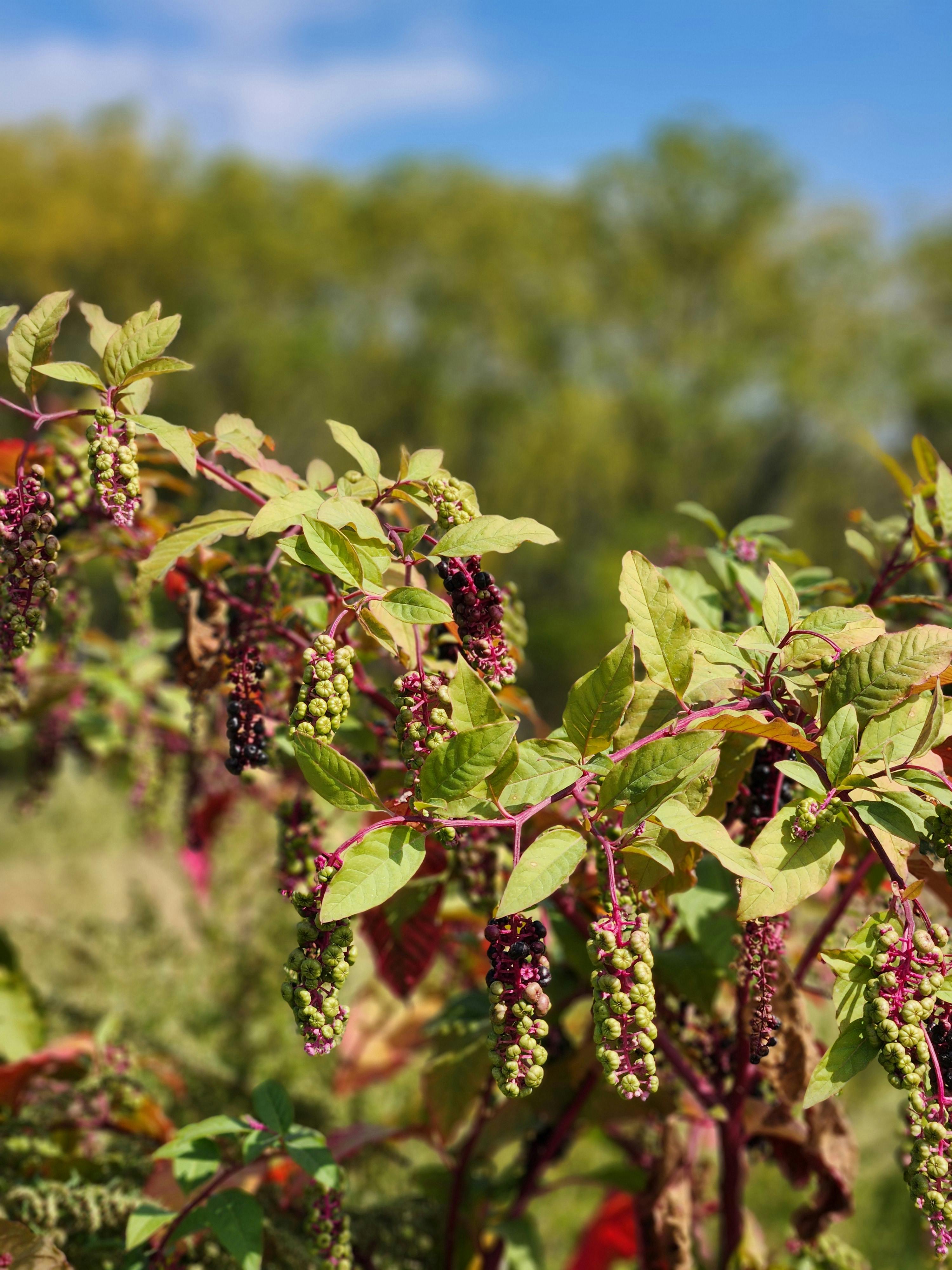 user avatar image for Keith O'Hare 