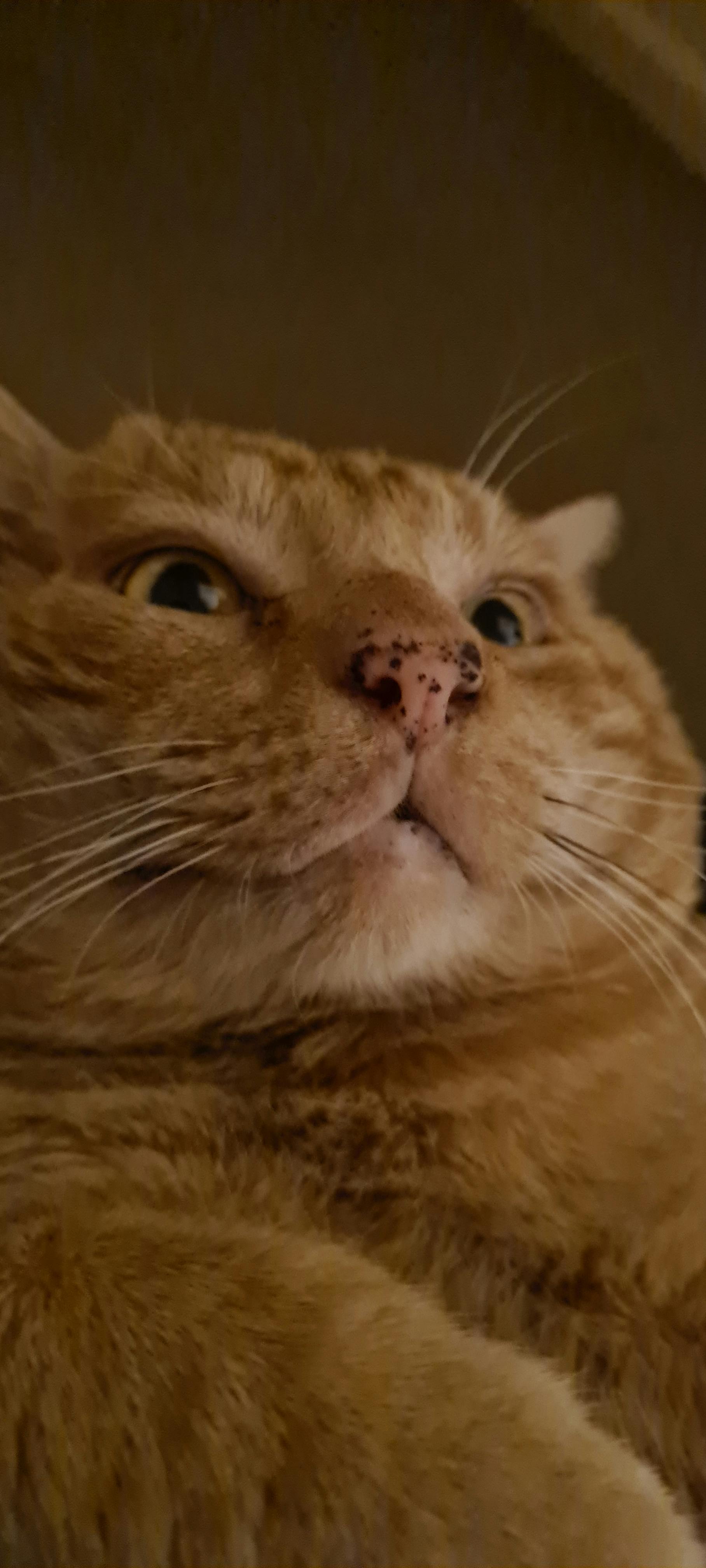 user avatar image for Nick H