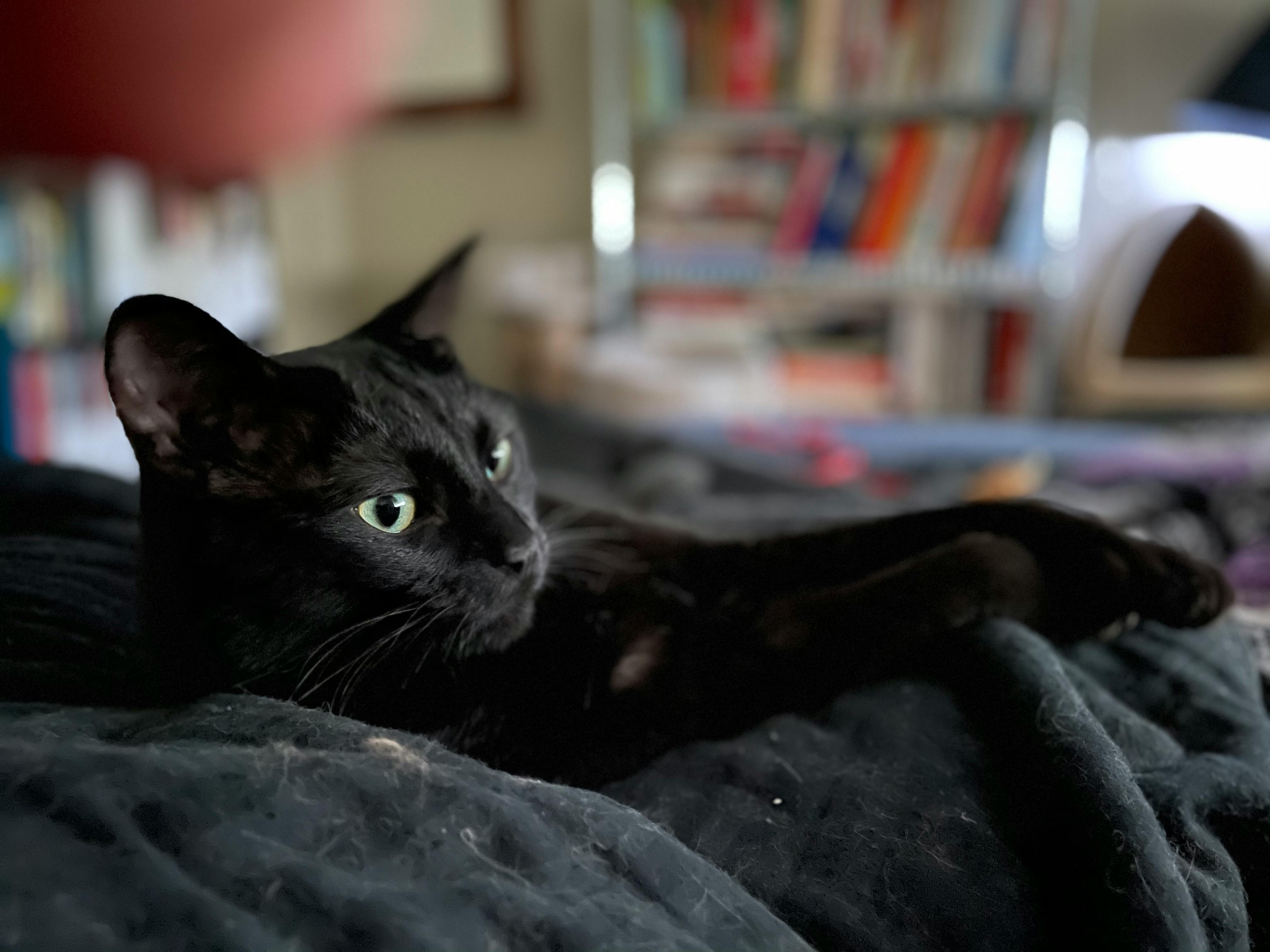 user avatar image for Levi Gray