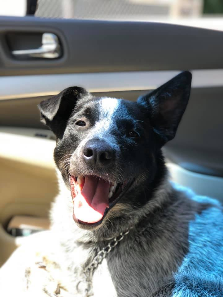 user avatar image for Alison