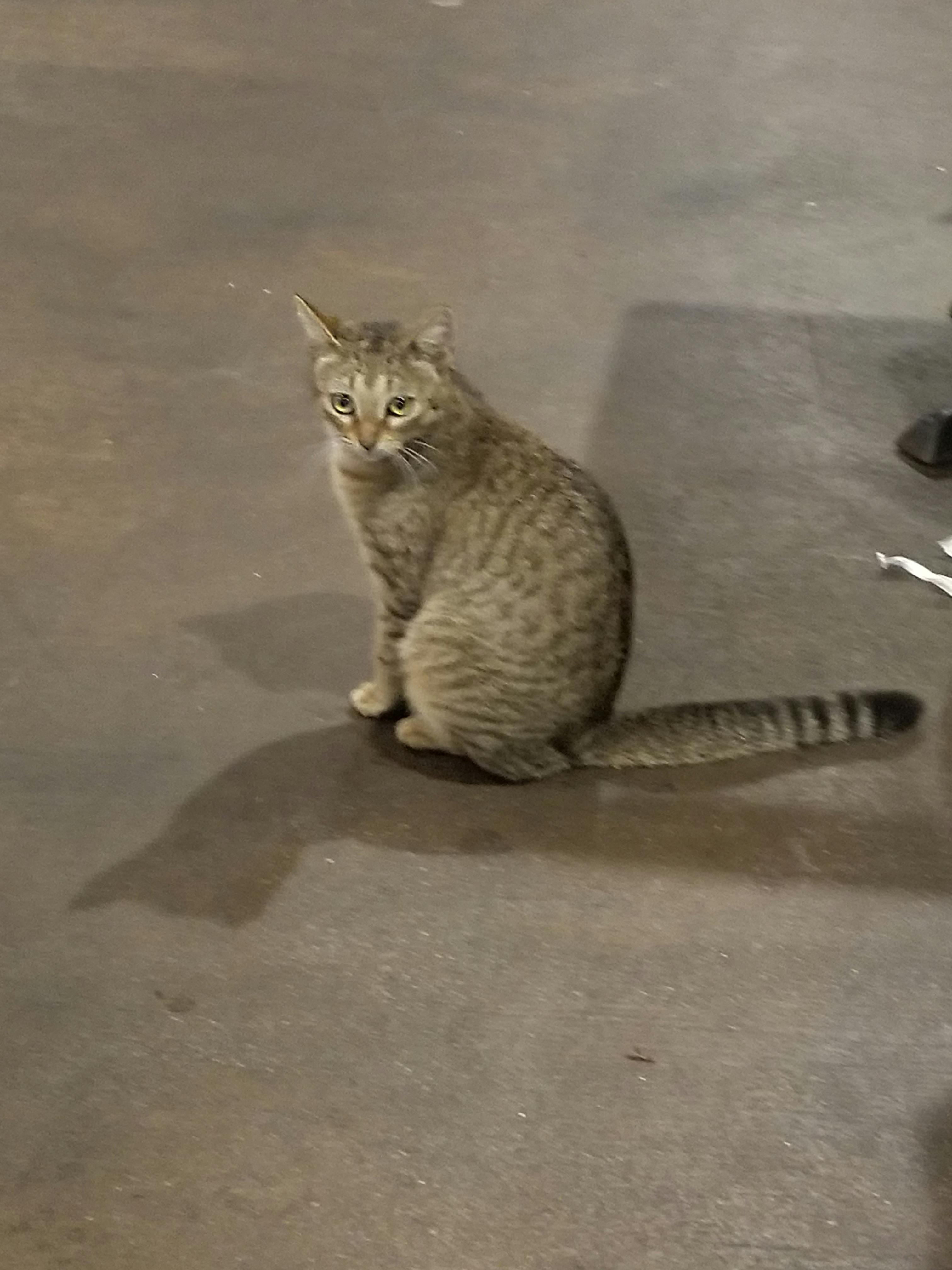 user avatar image for Matthew Binder