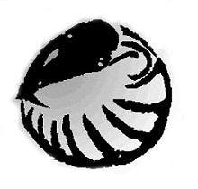 user avatar image for Shawn Glass