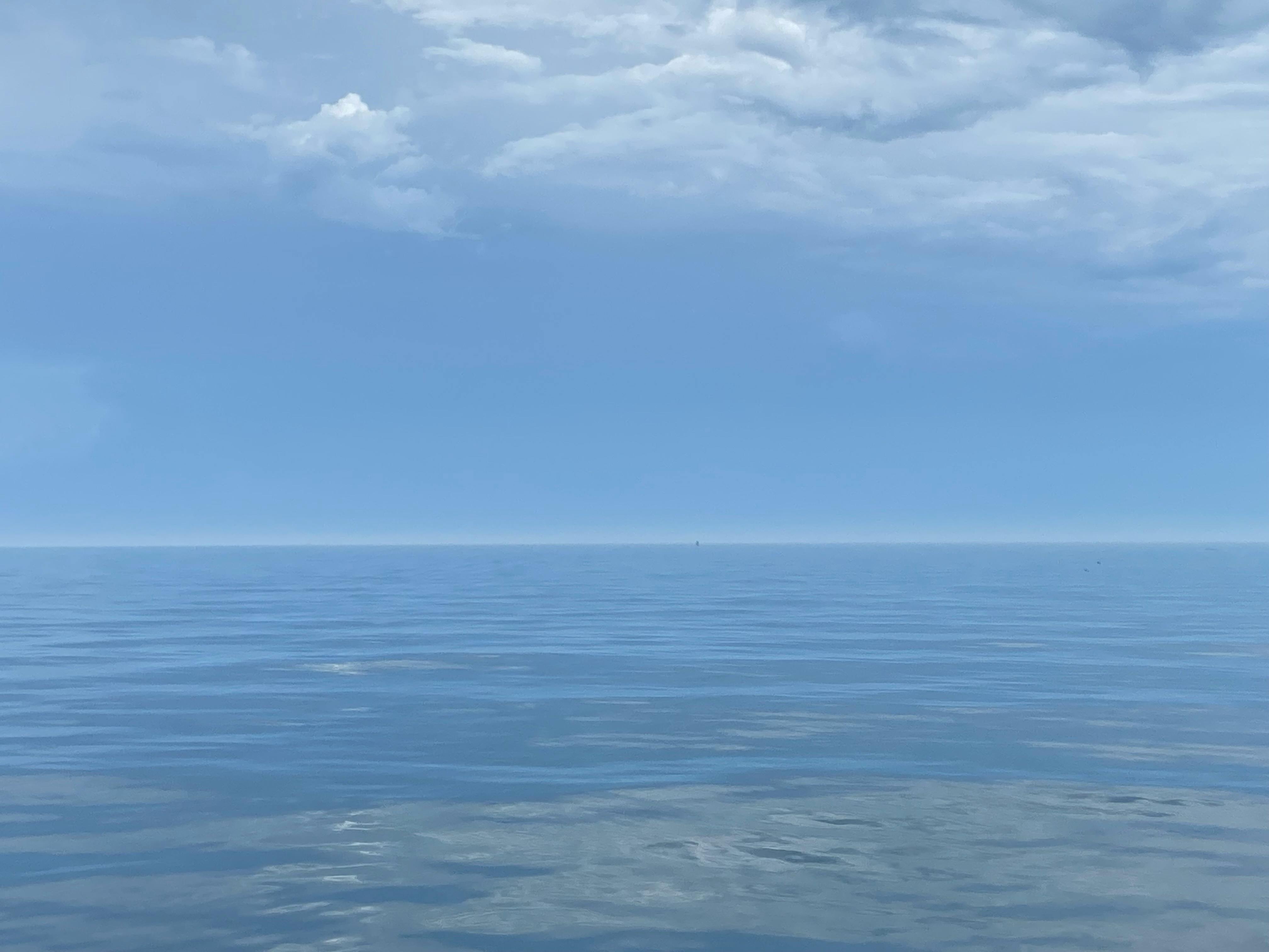 user avatar image for Mary