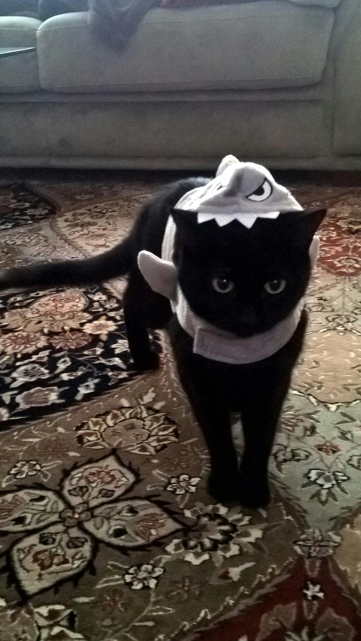 user avatar image for Alie