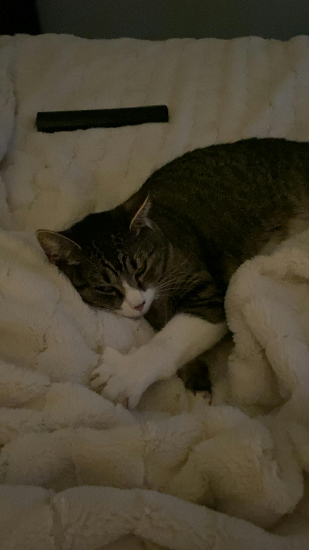 user avatar image for Aether 