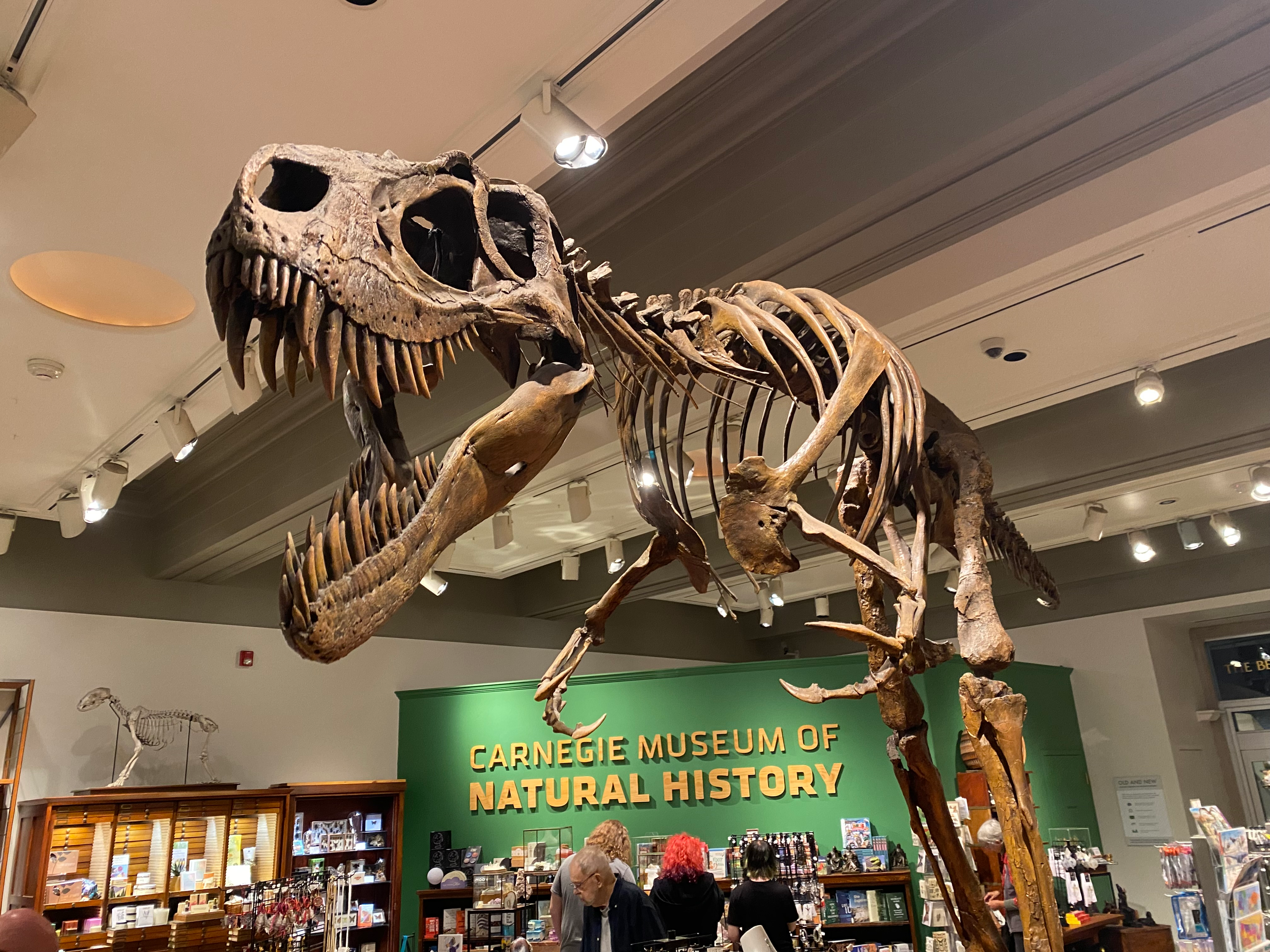 user avatar image for cp53149