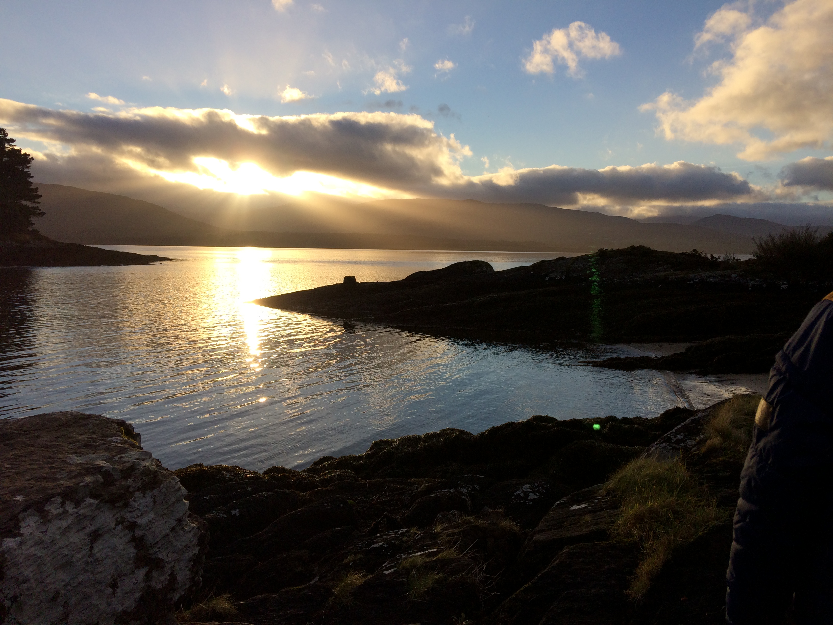 user avatar image for Julshh