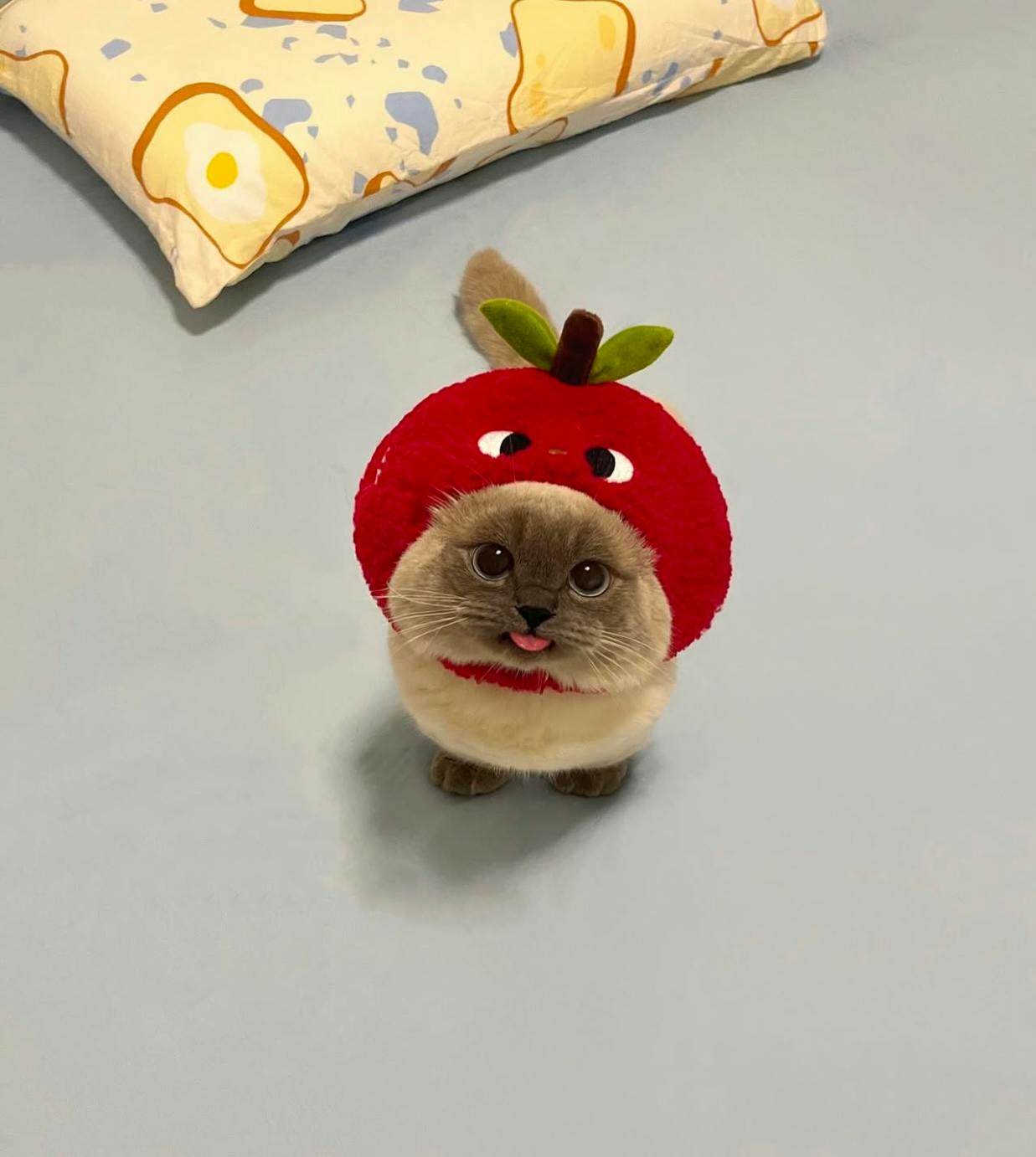 user avatar image for Anna