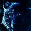 user avatar image for Wolfgang613