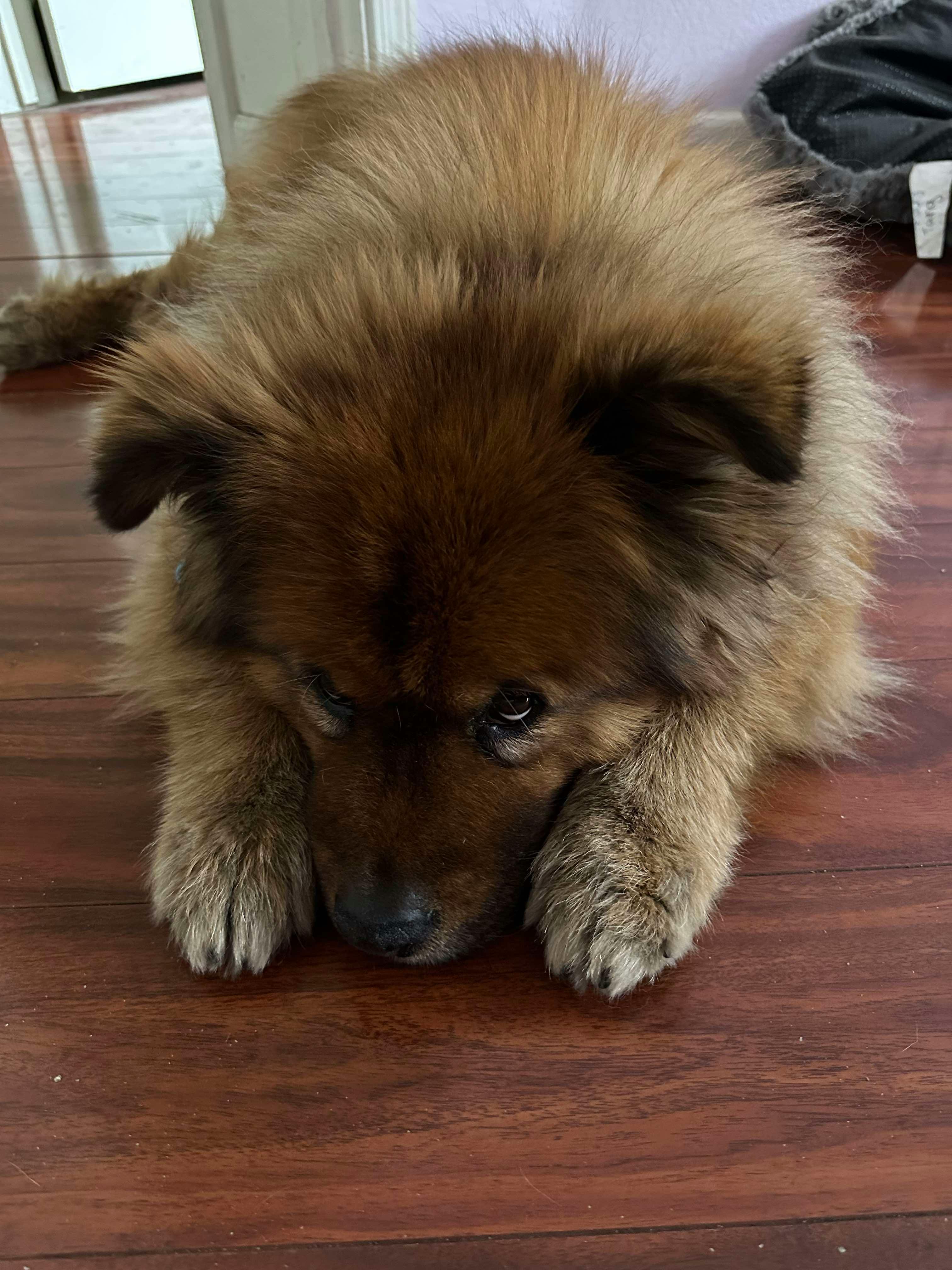 user avatar image for Gary W Tang