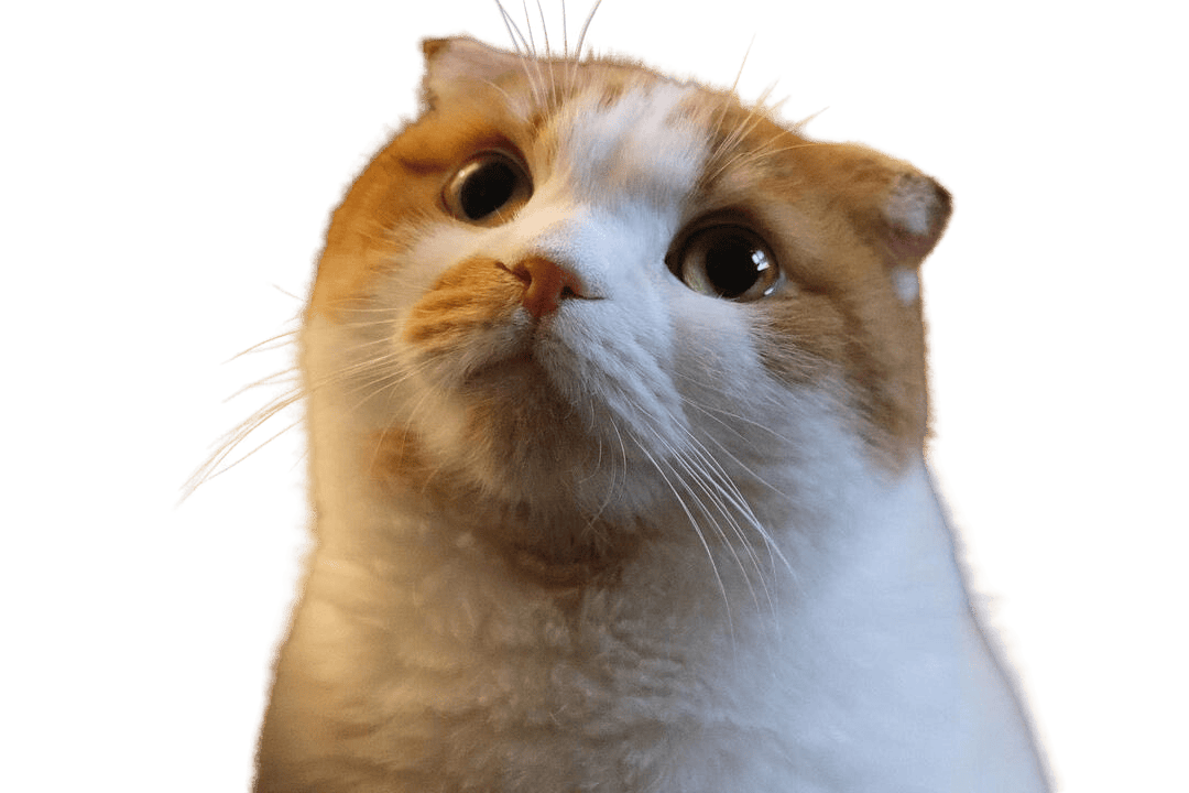 user avatar image for MarZ