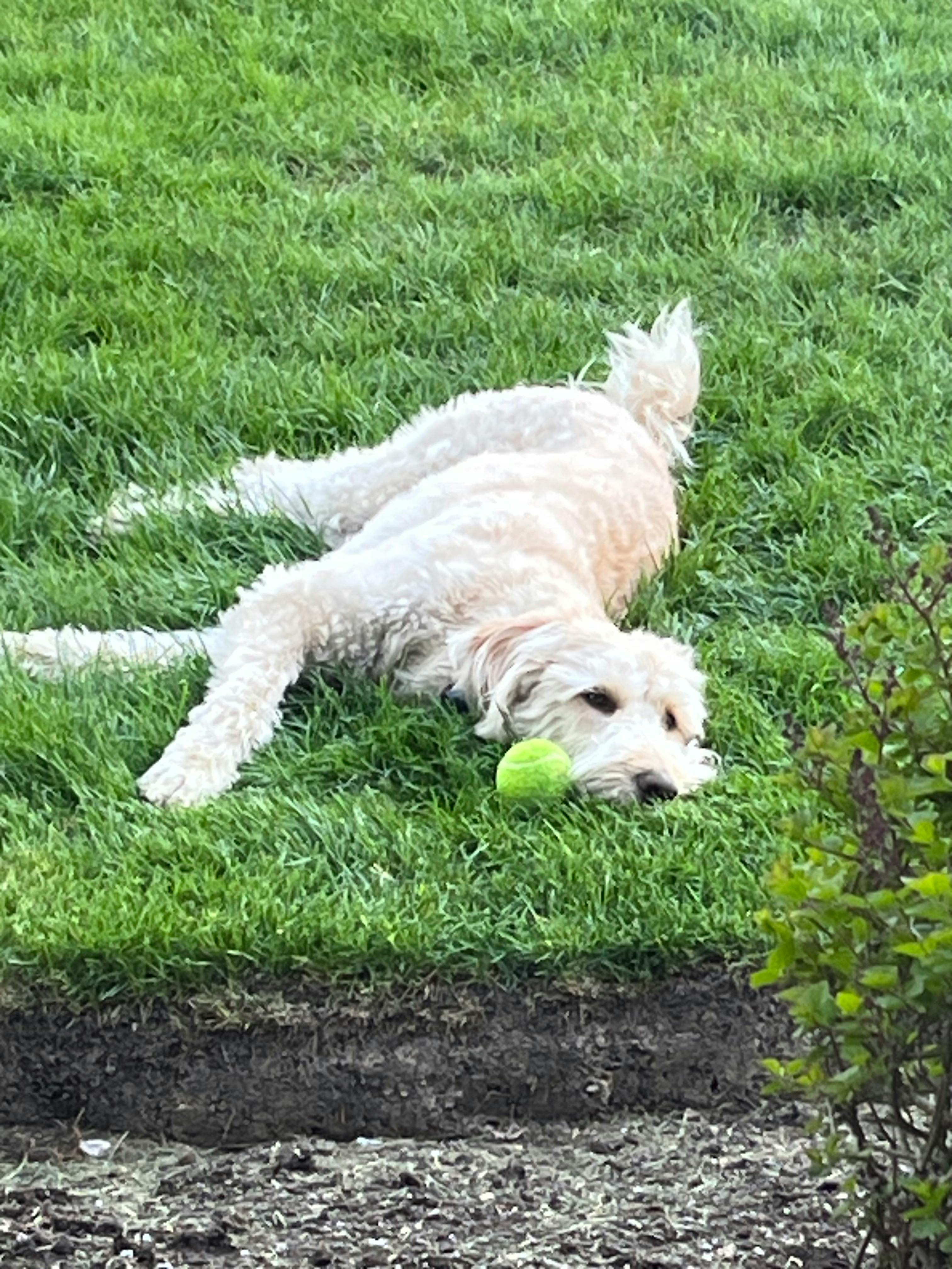 user avatar image for Jessi Flowers