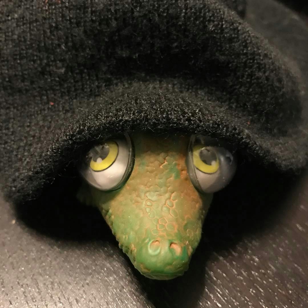 user avatar image for Sam K