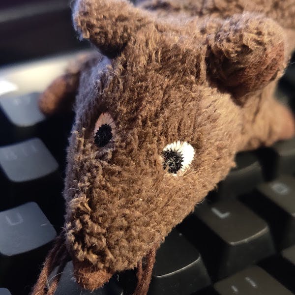 user avatar image for Matunius