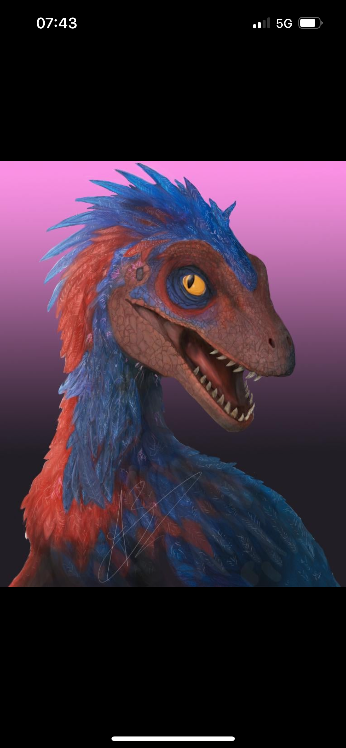 user avatar image for Shazzle Cluas