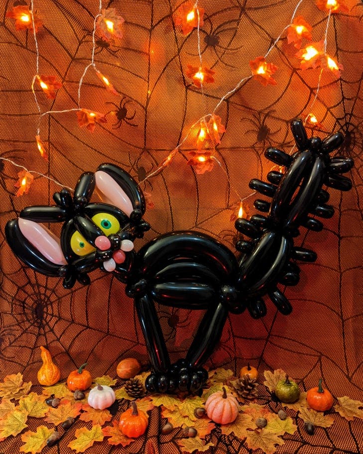 user avatar image for Beetle