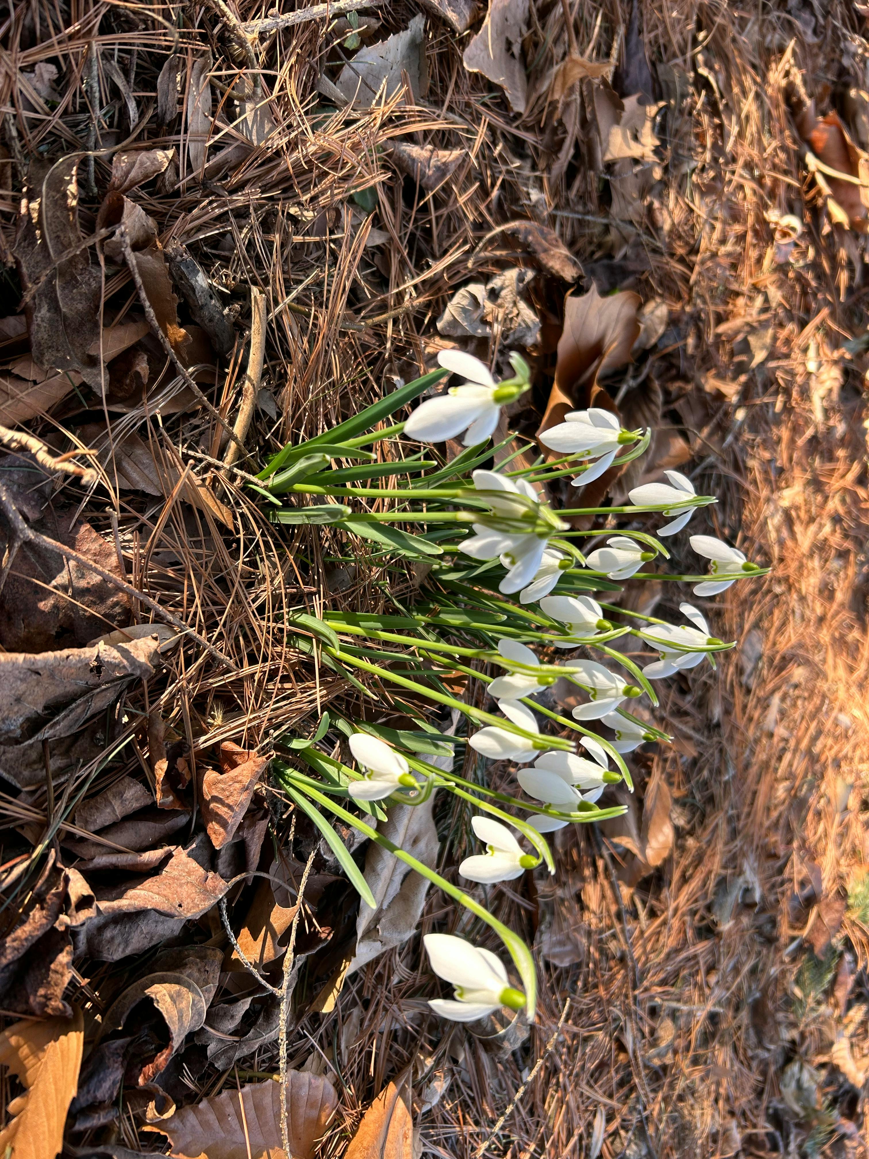 user avatar image for Badger