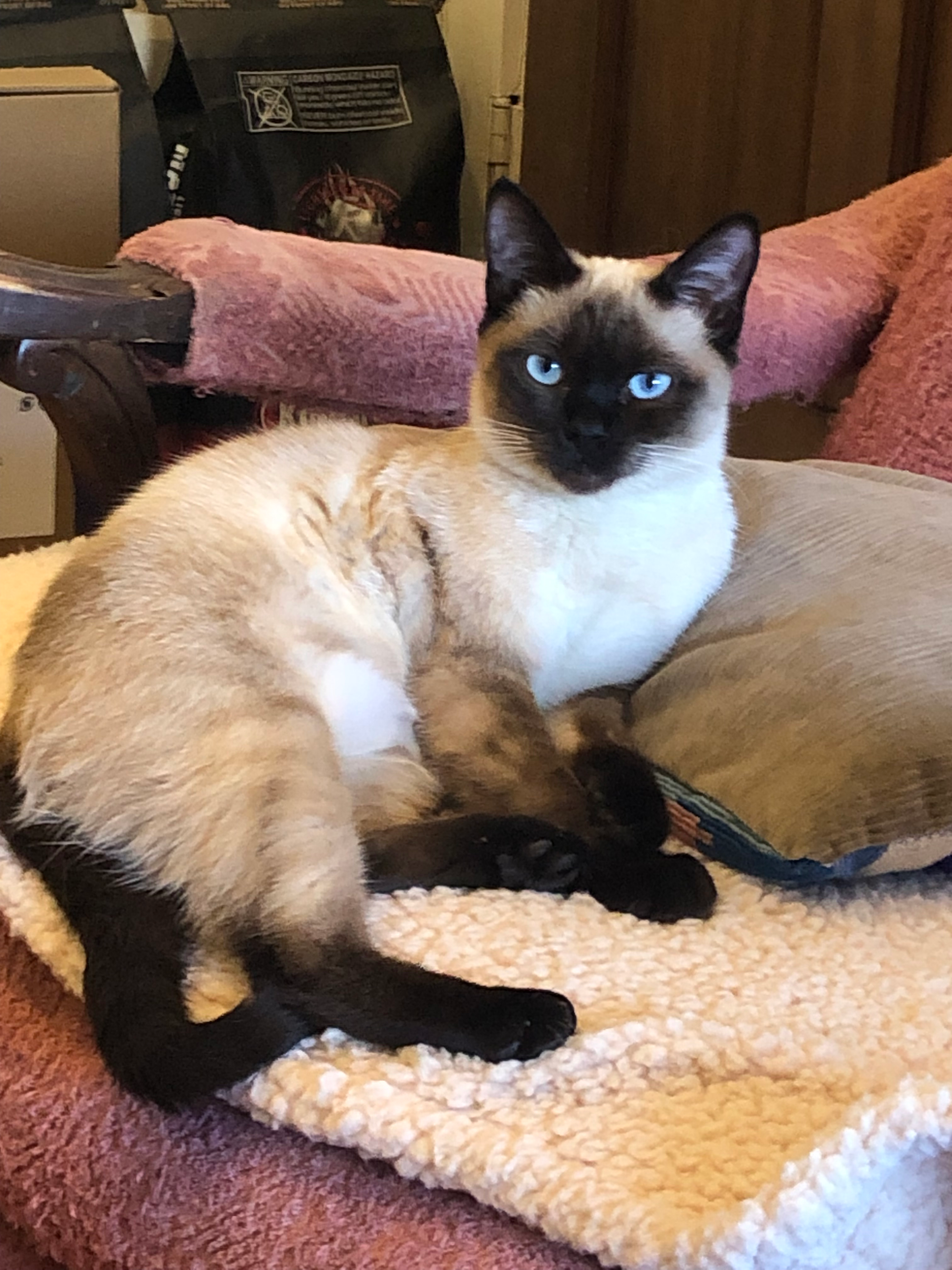 user avatar image for Therin River