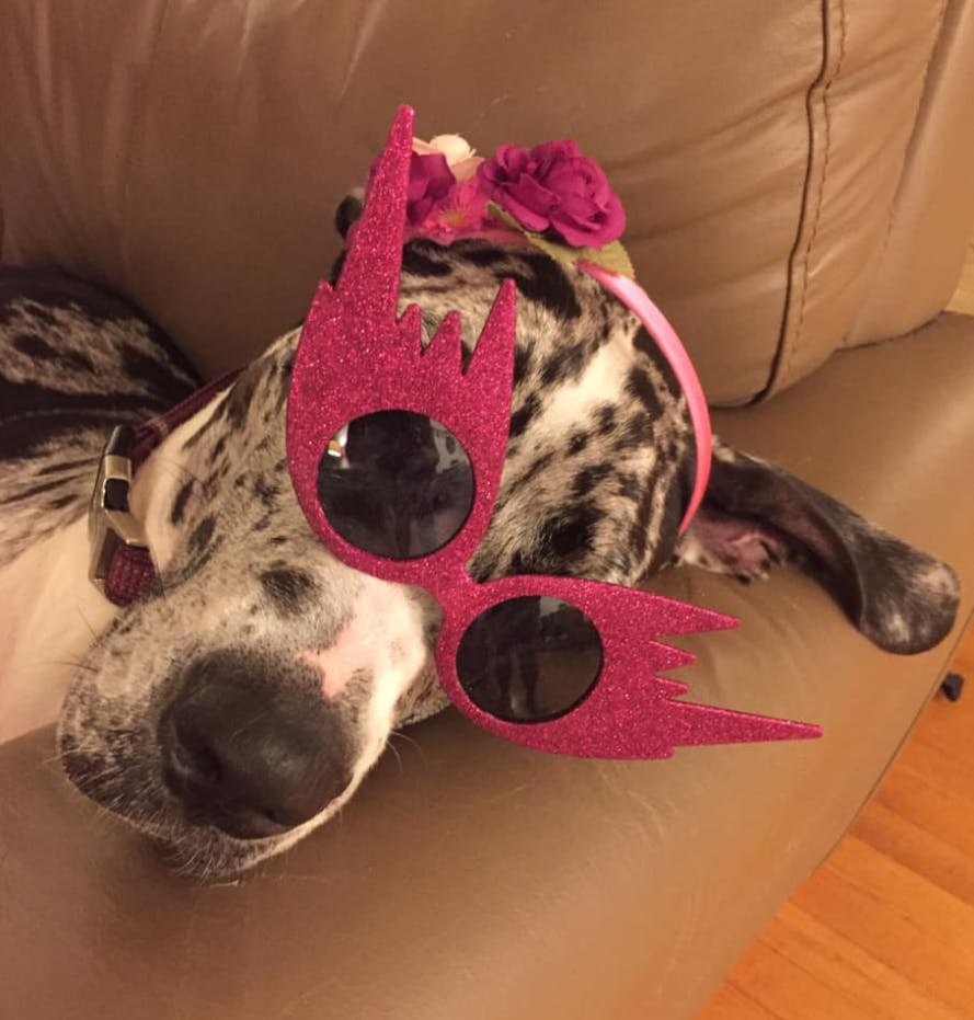 user avatar image for SomeSuchBooks