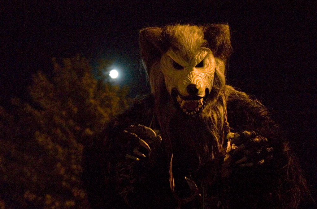 user avatar image for Papa Woof Roth