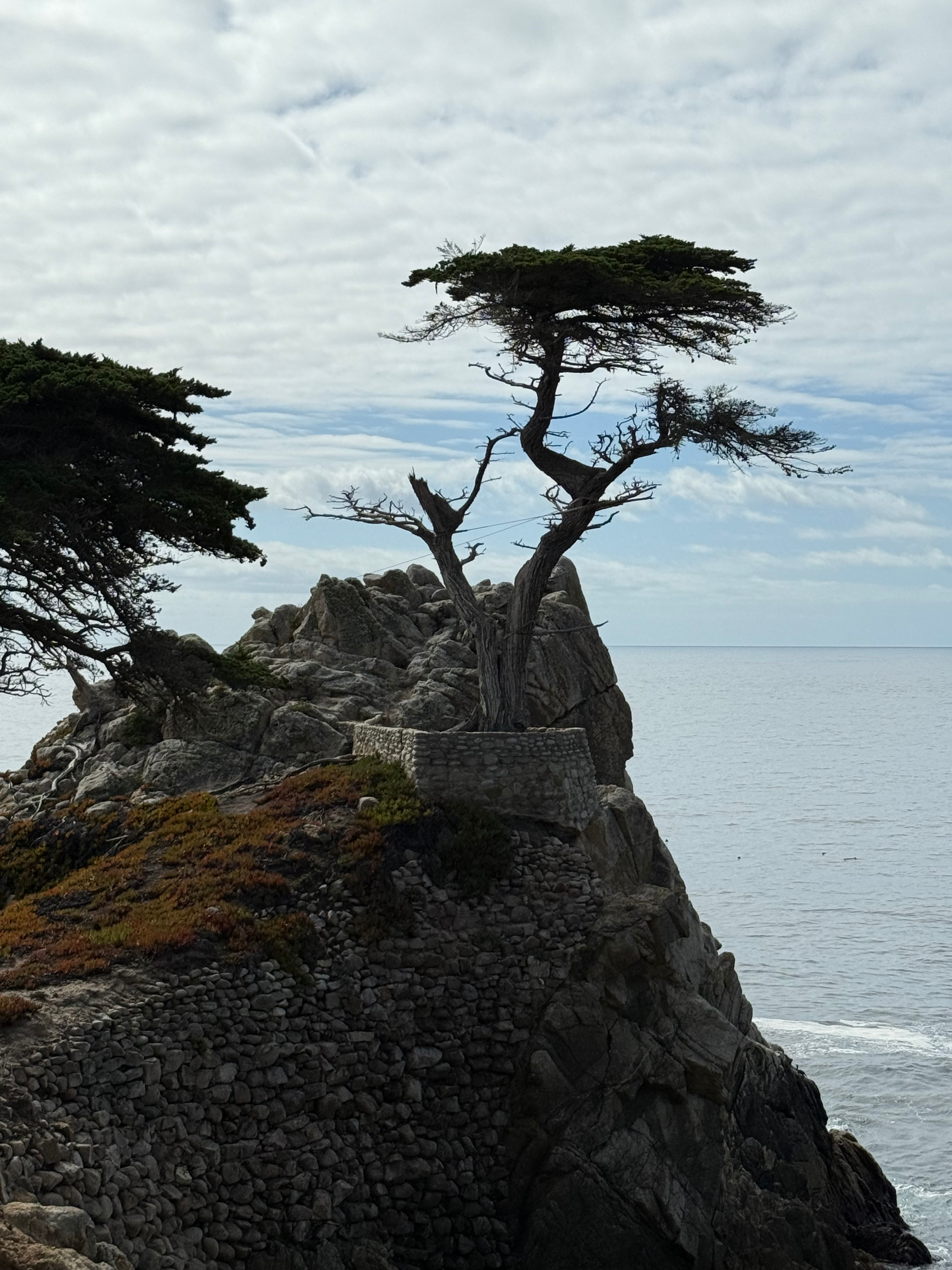 user avatar image for Notjoeyjoejoe